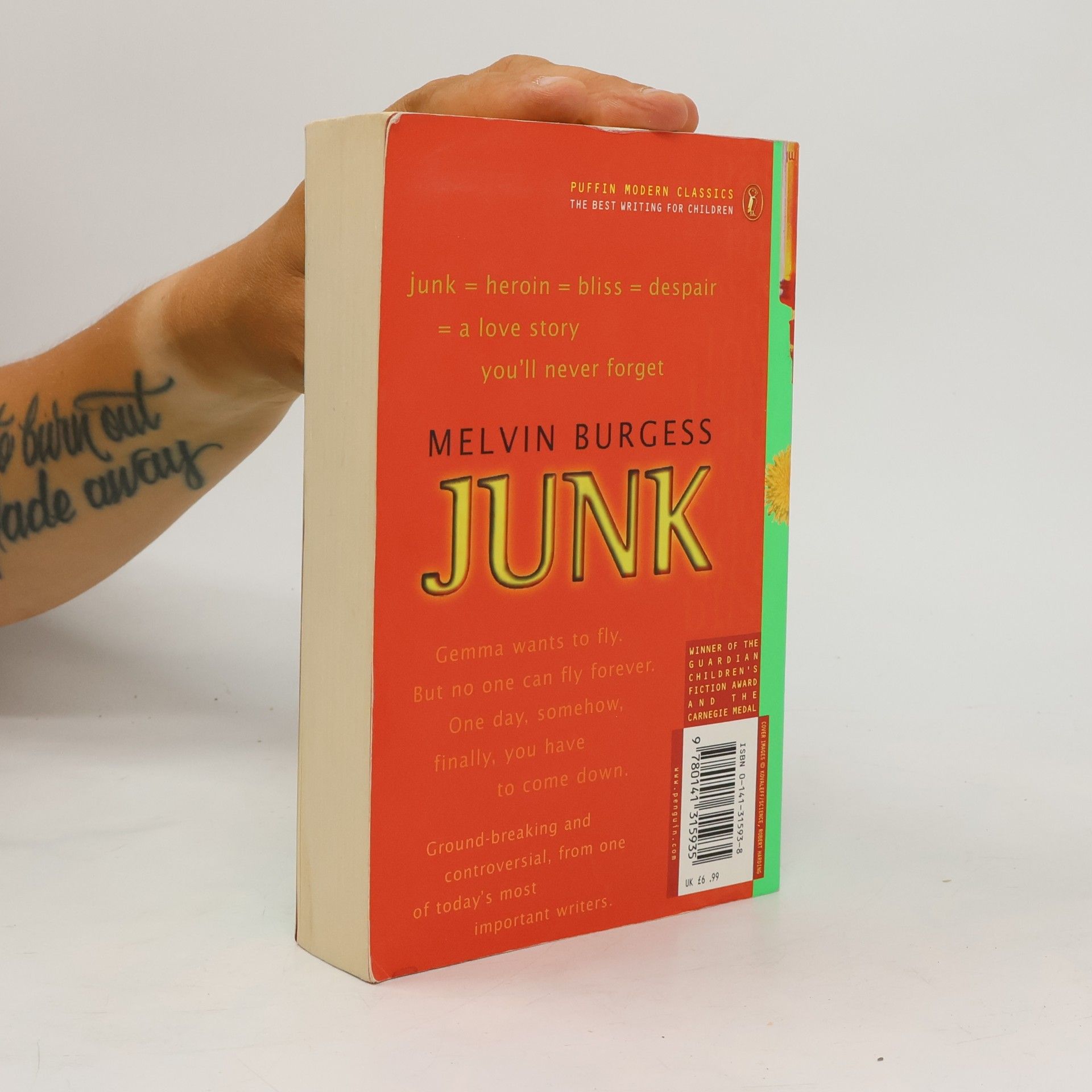 Melvin Burgess Puffin Modern Classics: Junk