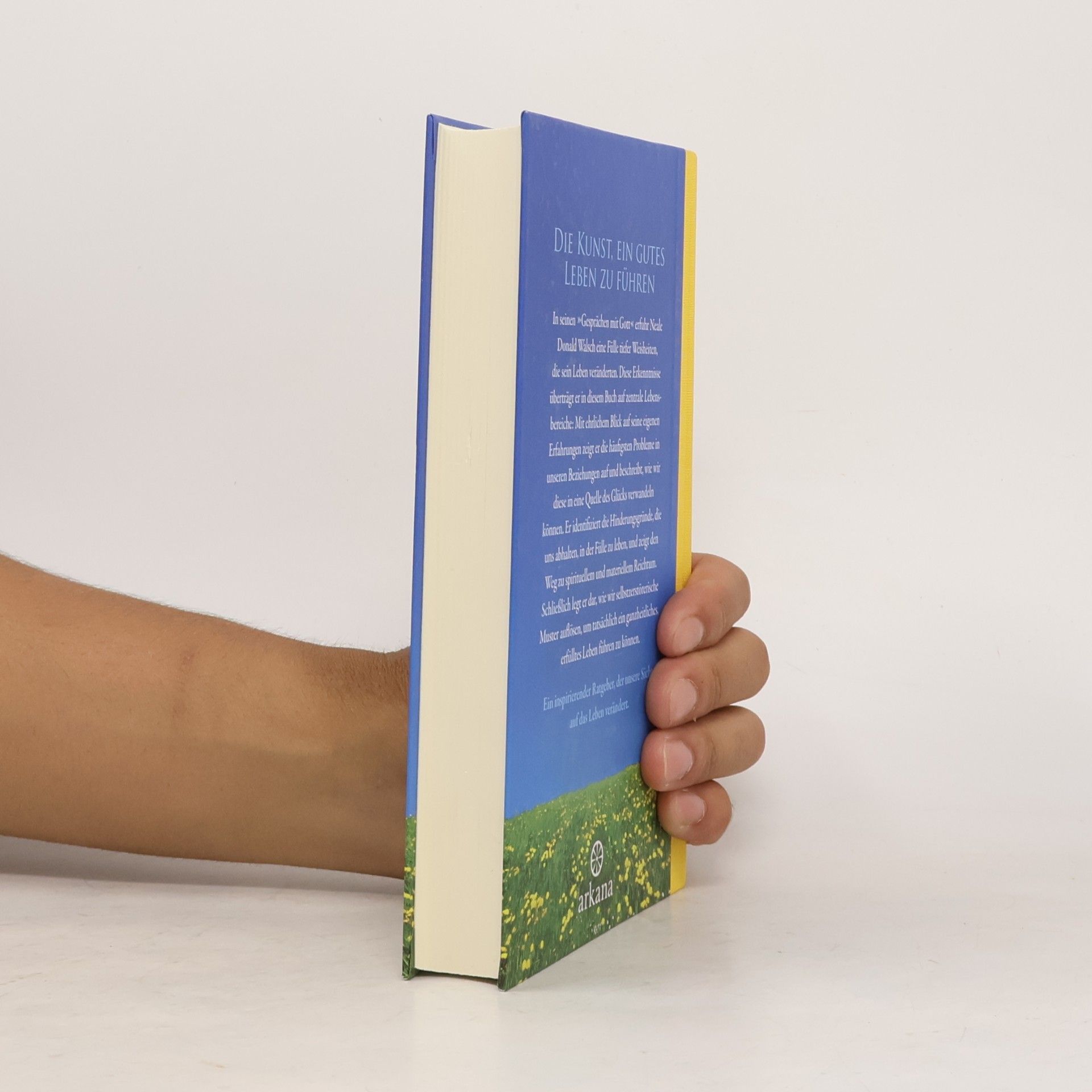 Neale Donald Walsch Mein Buch des Lebens