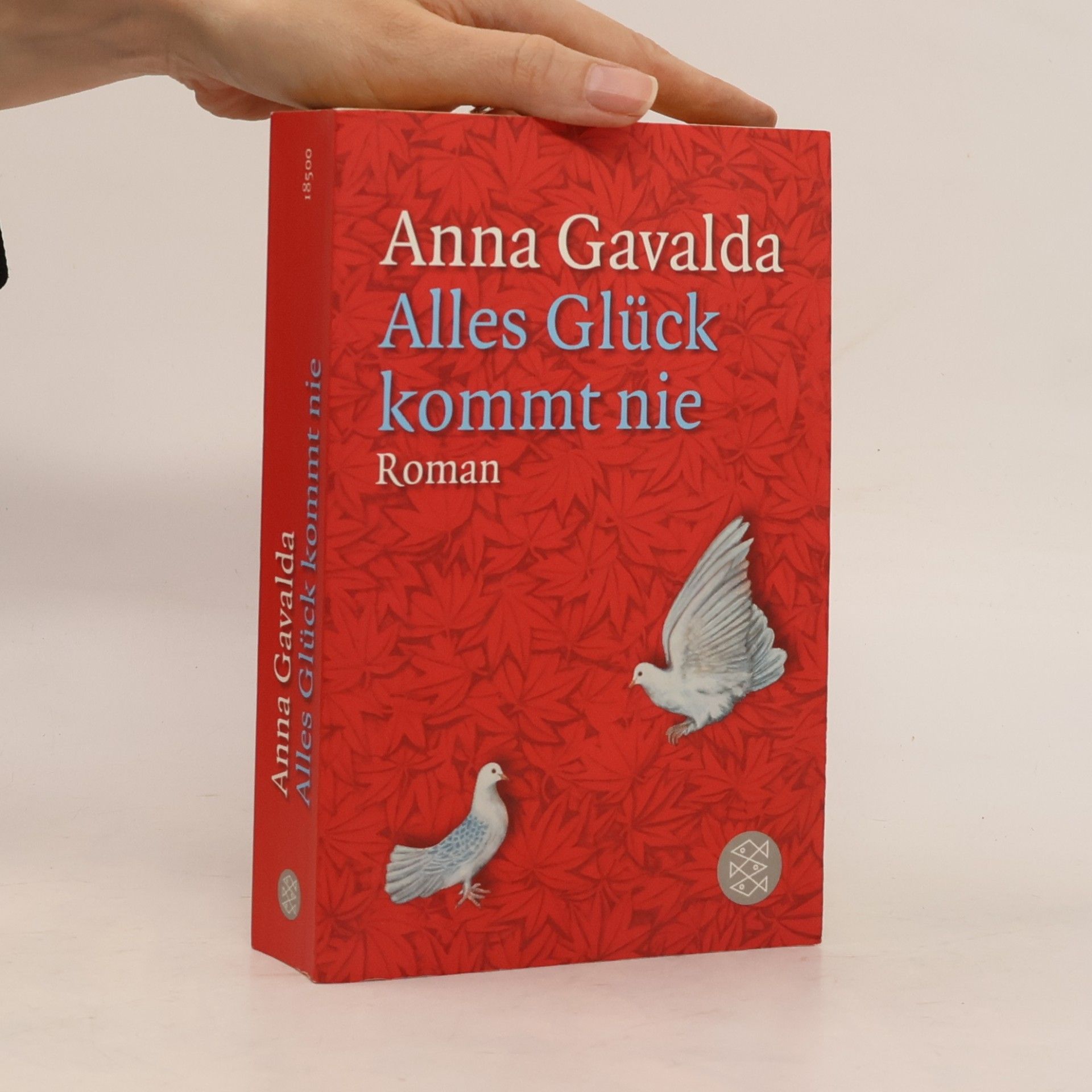 Anna Gavalda Alles Glück kommt nie