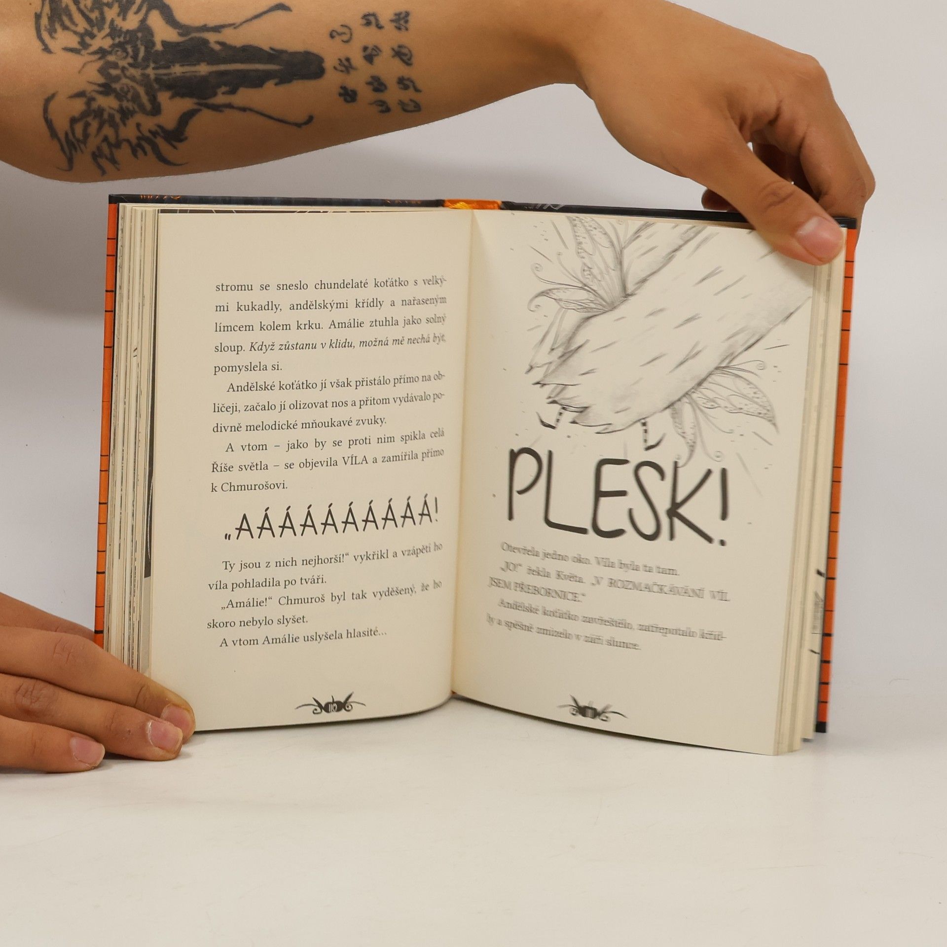 Laura Ellen Anderson Amálie Zubatá a příšerný ples