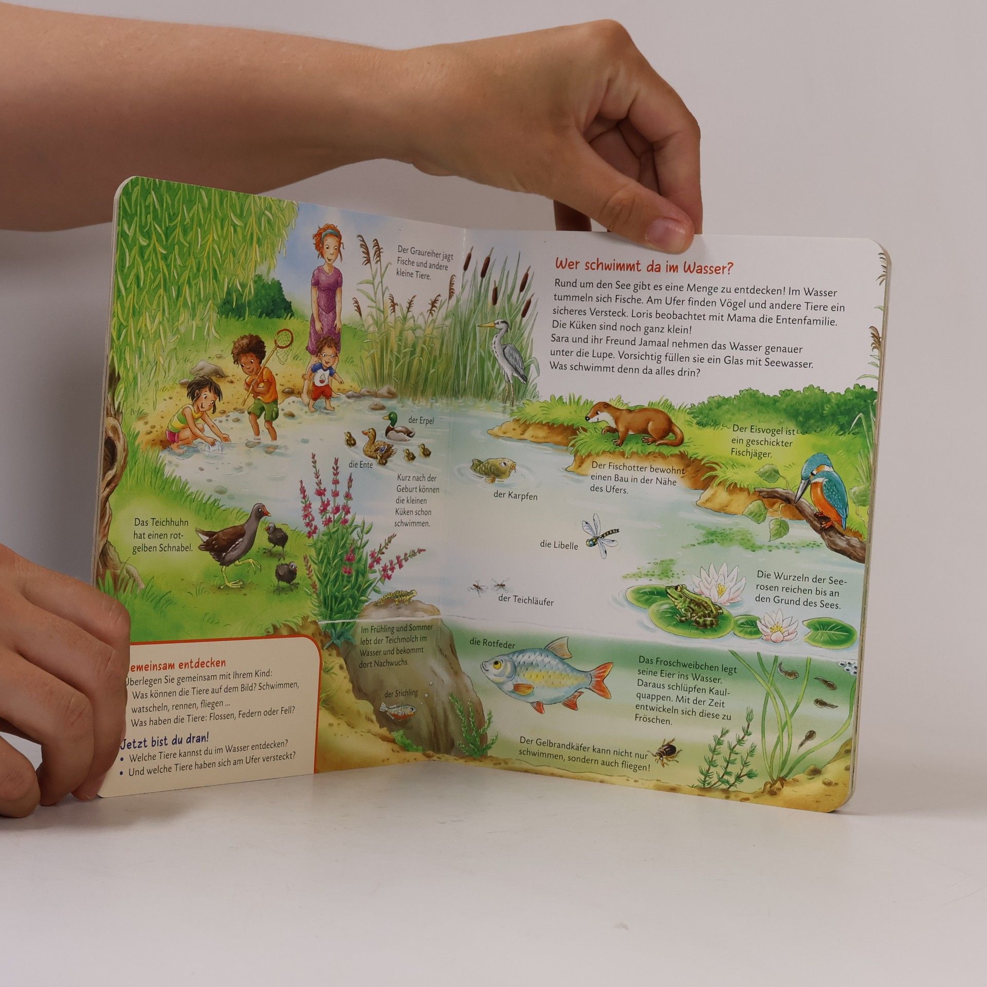 Andrea Weller-Essers Komm mit in die Natur