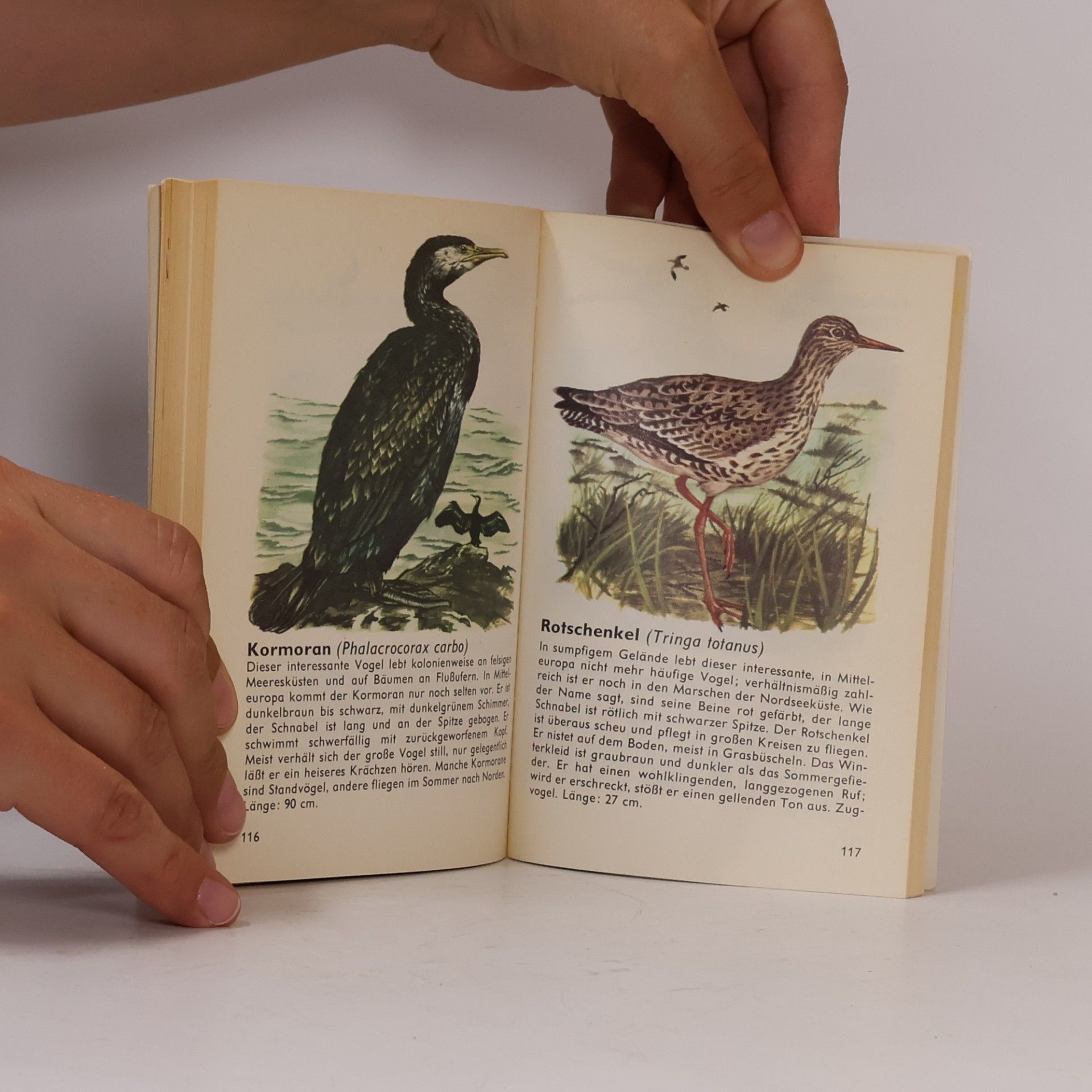 Auteurscollectief Vögel Europäische Arten