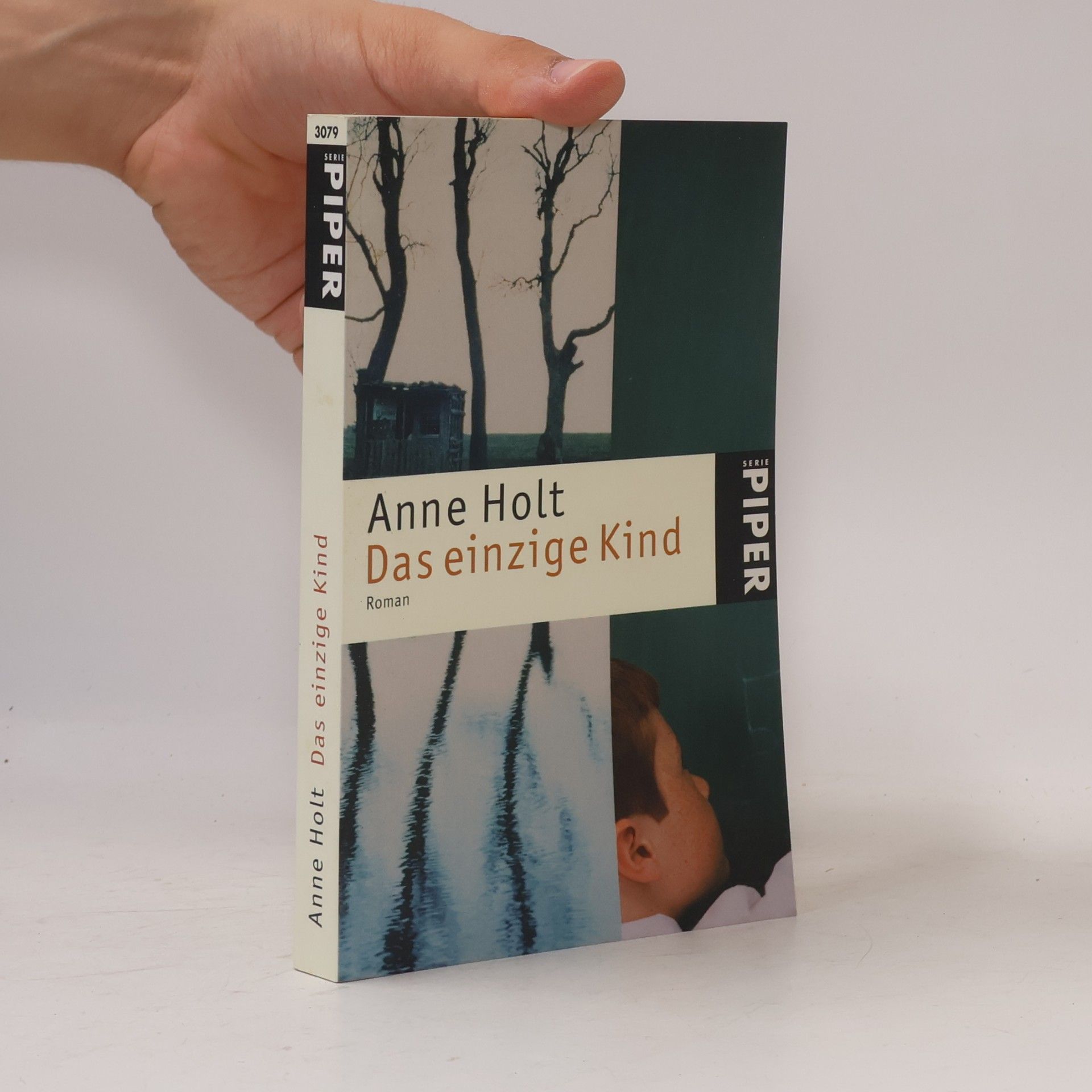 Anne Holt Das einzige Kind
