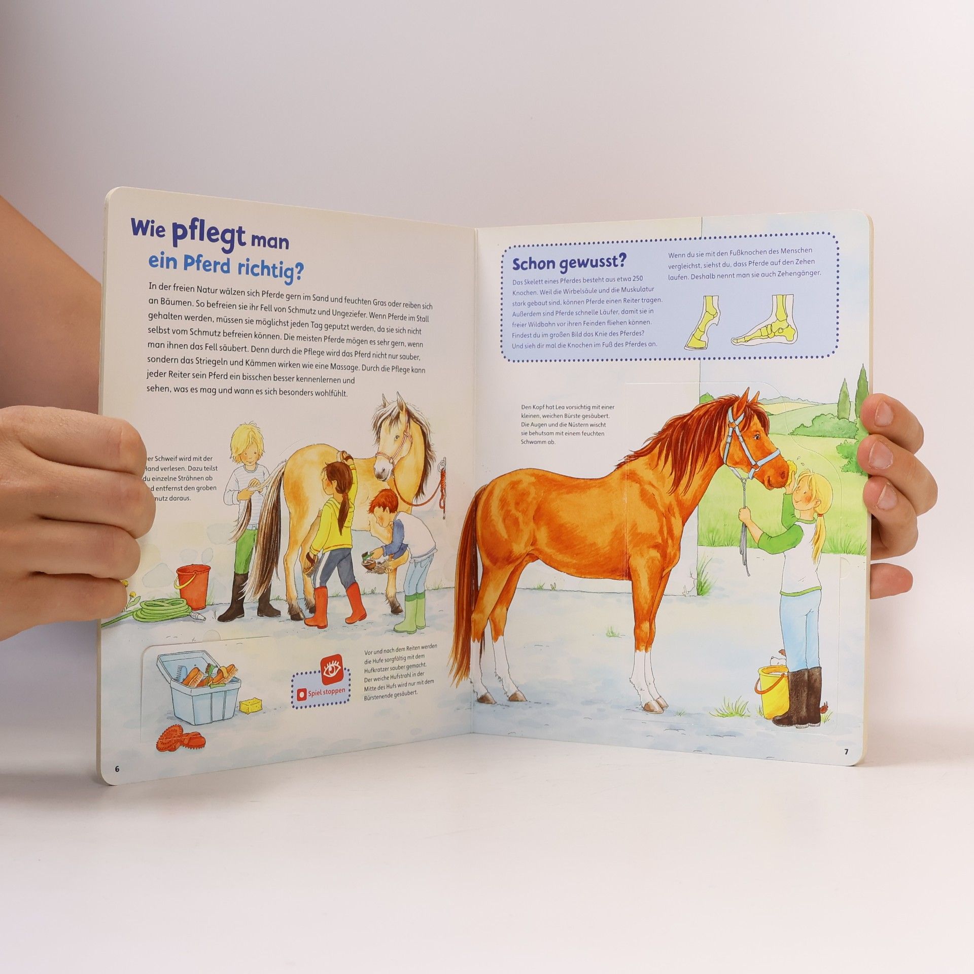 Collectif d'auteurs Was ist was Junior. Pferde und Ponys