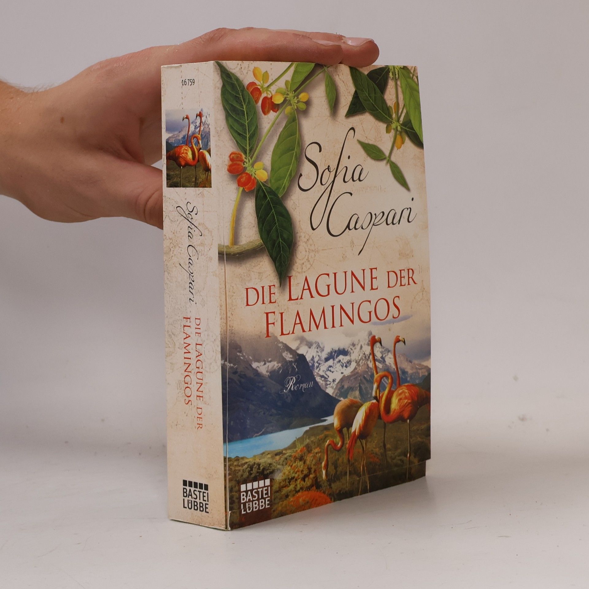 Die Lagune der Flamingos