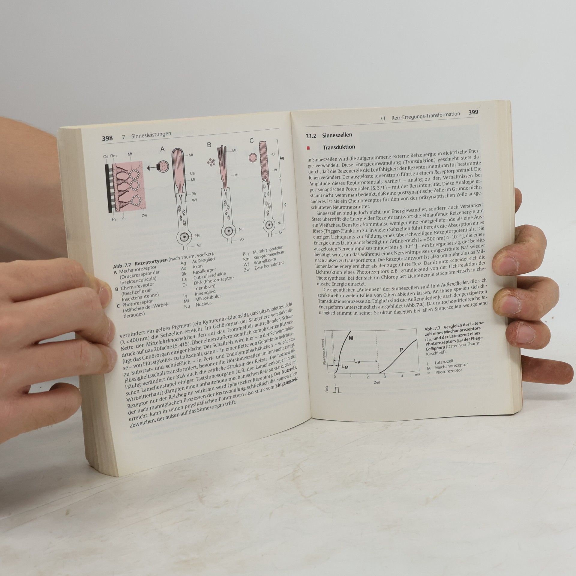 Rüdiger Wehner Zoologie. 23. Auflage