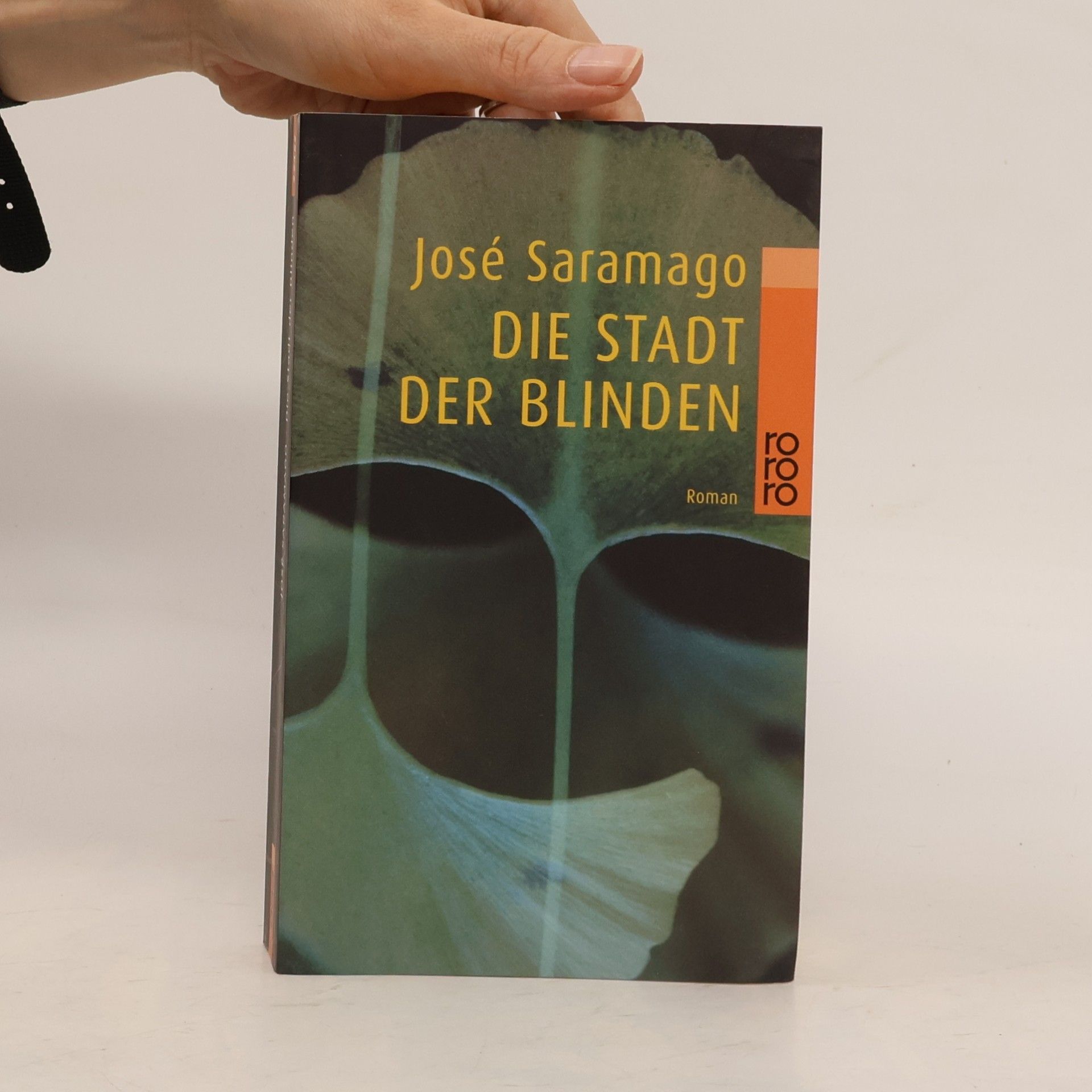 José Saramago Die Stadt der Blinden