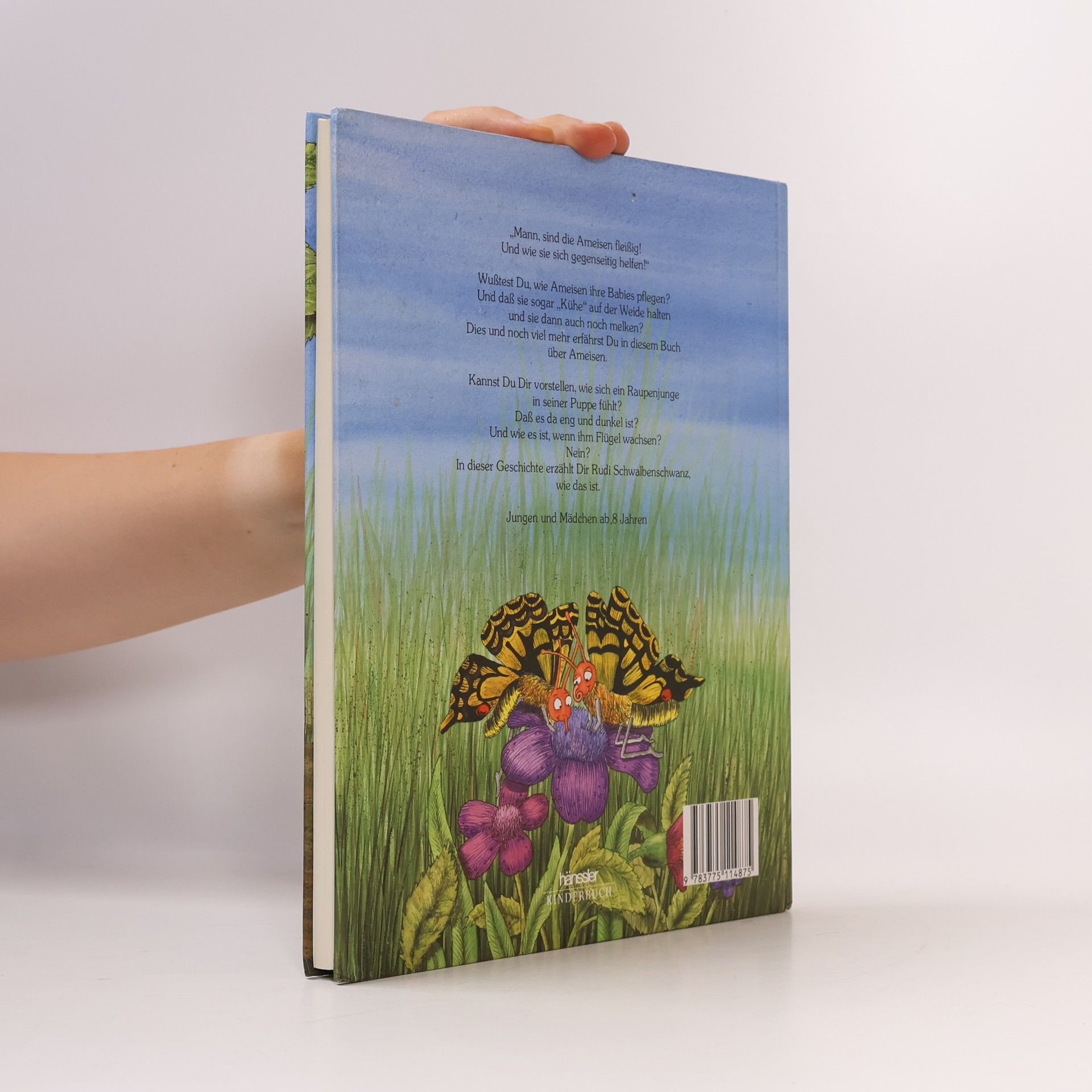Renate Becht Zwicki, die Ameise und Rudi, der Schmetterling