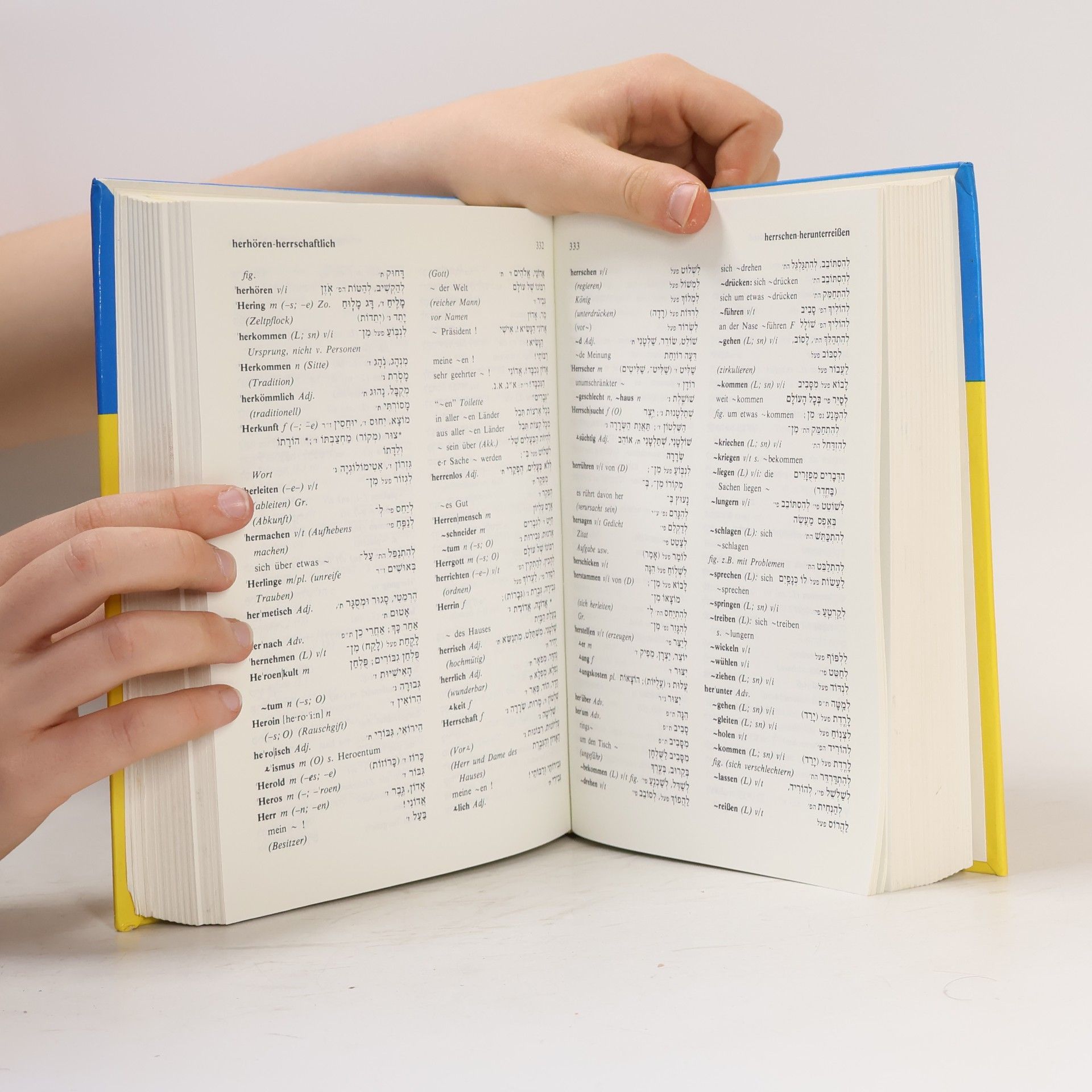 Yaʿaḳov Lavi Langenscheidts Taschenwörterbuch Deutsch Hebräisch