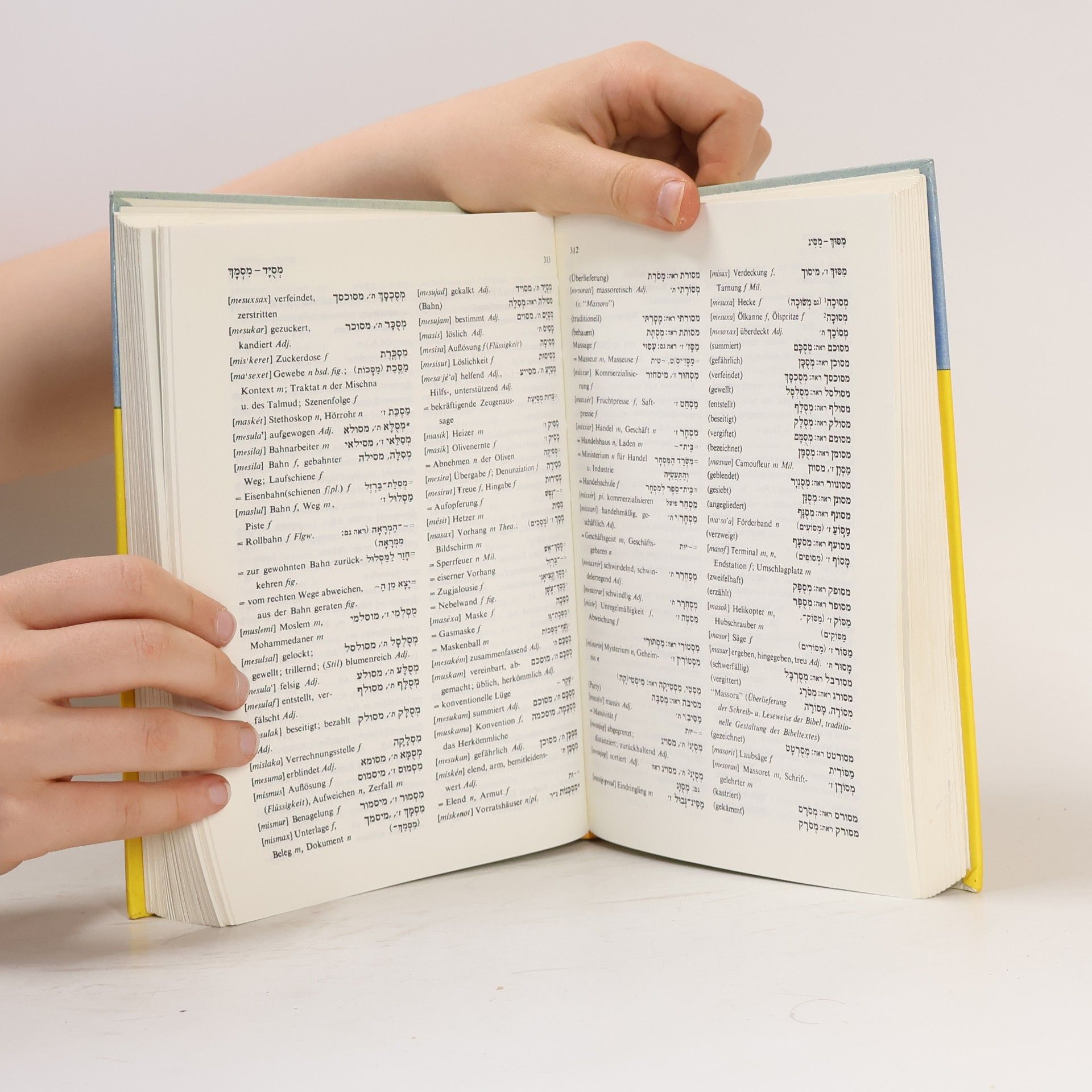 Yaʿaḳov Lavi Handwörterbuch Hebräisch Deutsch