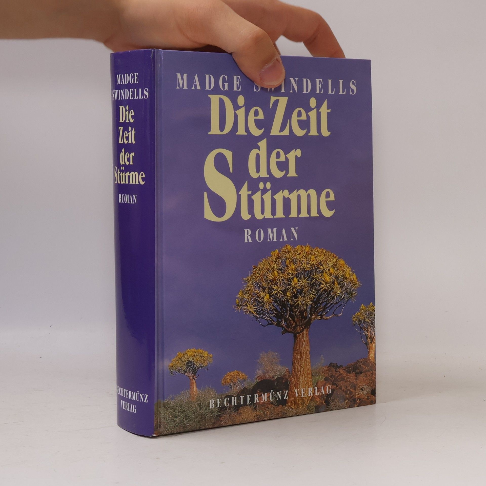 Madge Swindellis Die Zeit der Stürme