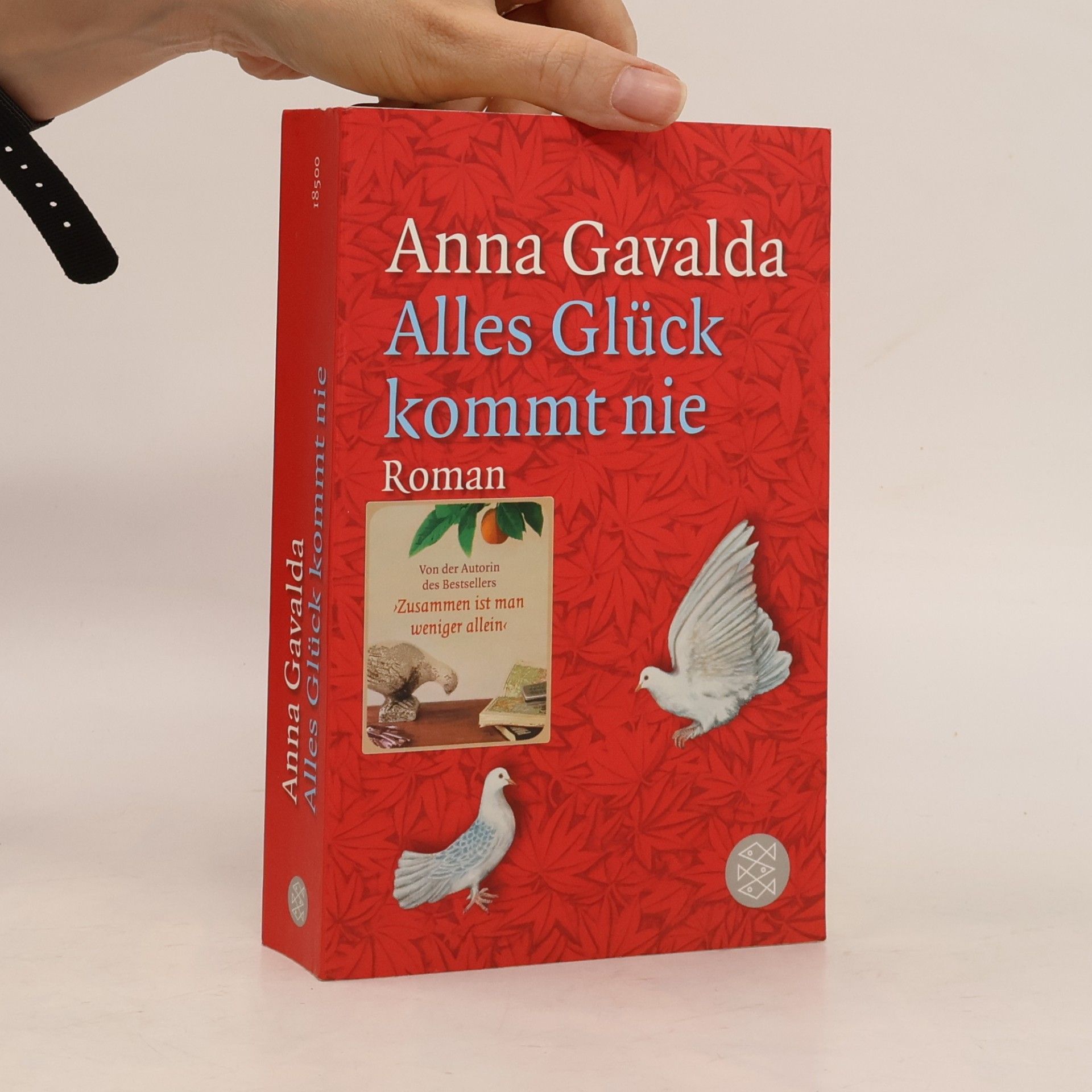 Anna Gavalda Alles Glück kommt nie
