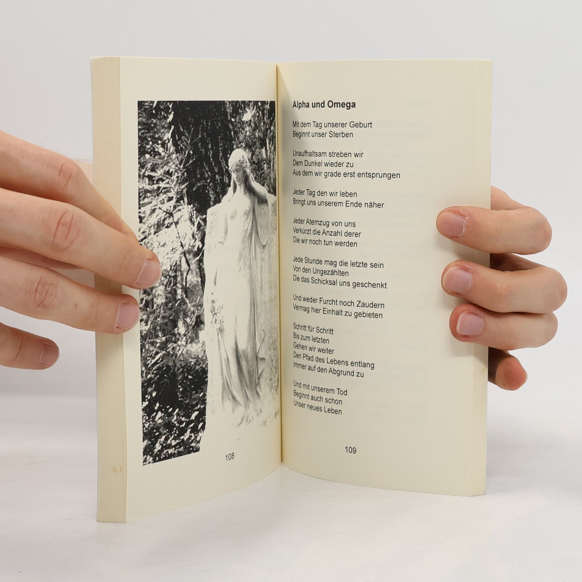 Tanya Carpenter Zwischen Licht und Schatten