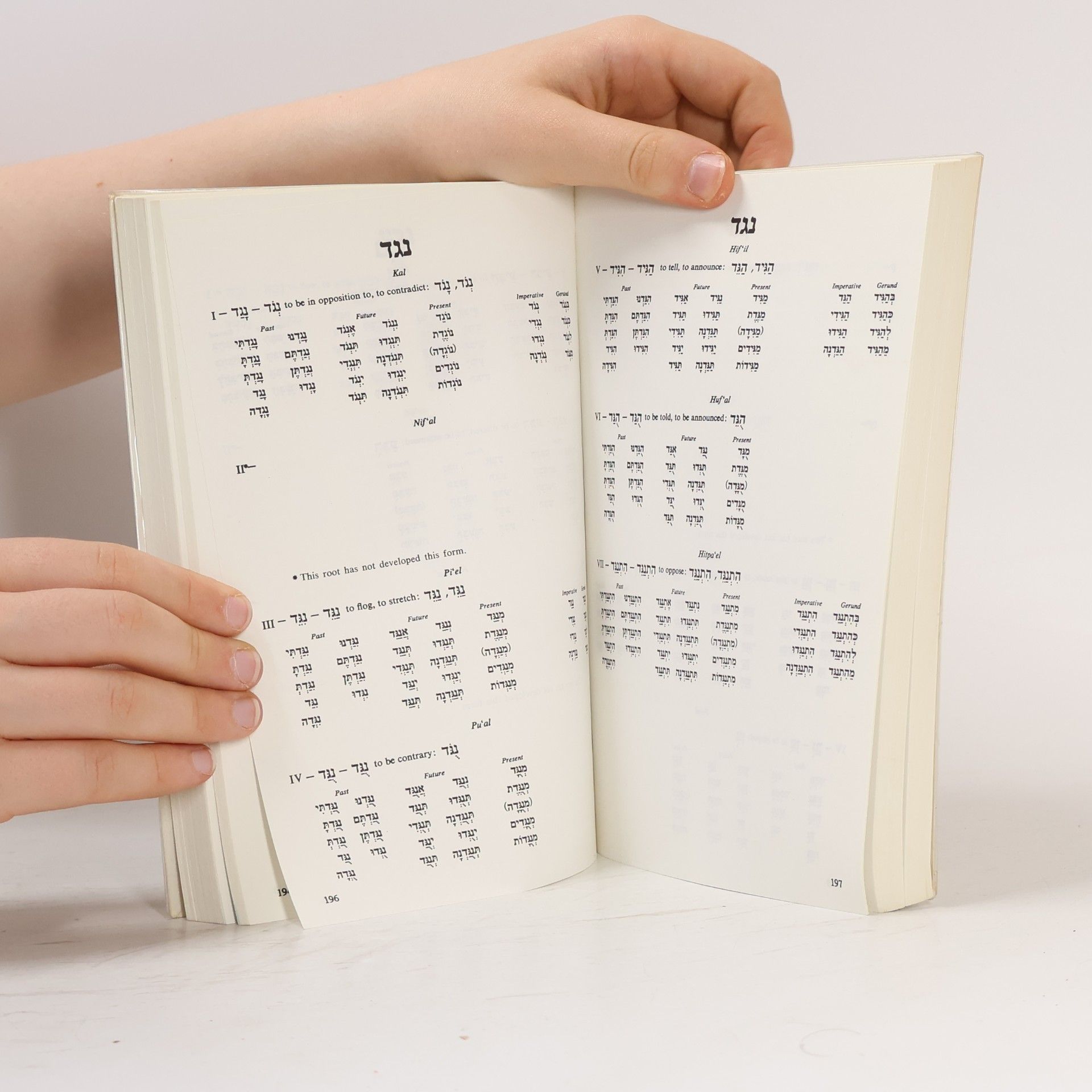 Kolektiv autorů 201 Hebrew Verbs Fully Conjugated in All the Tenses, Alphabetically Arranged.