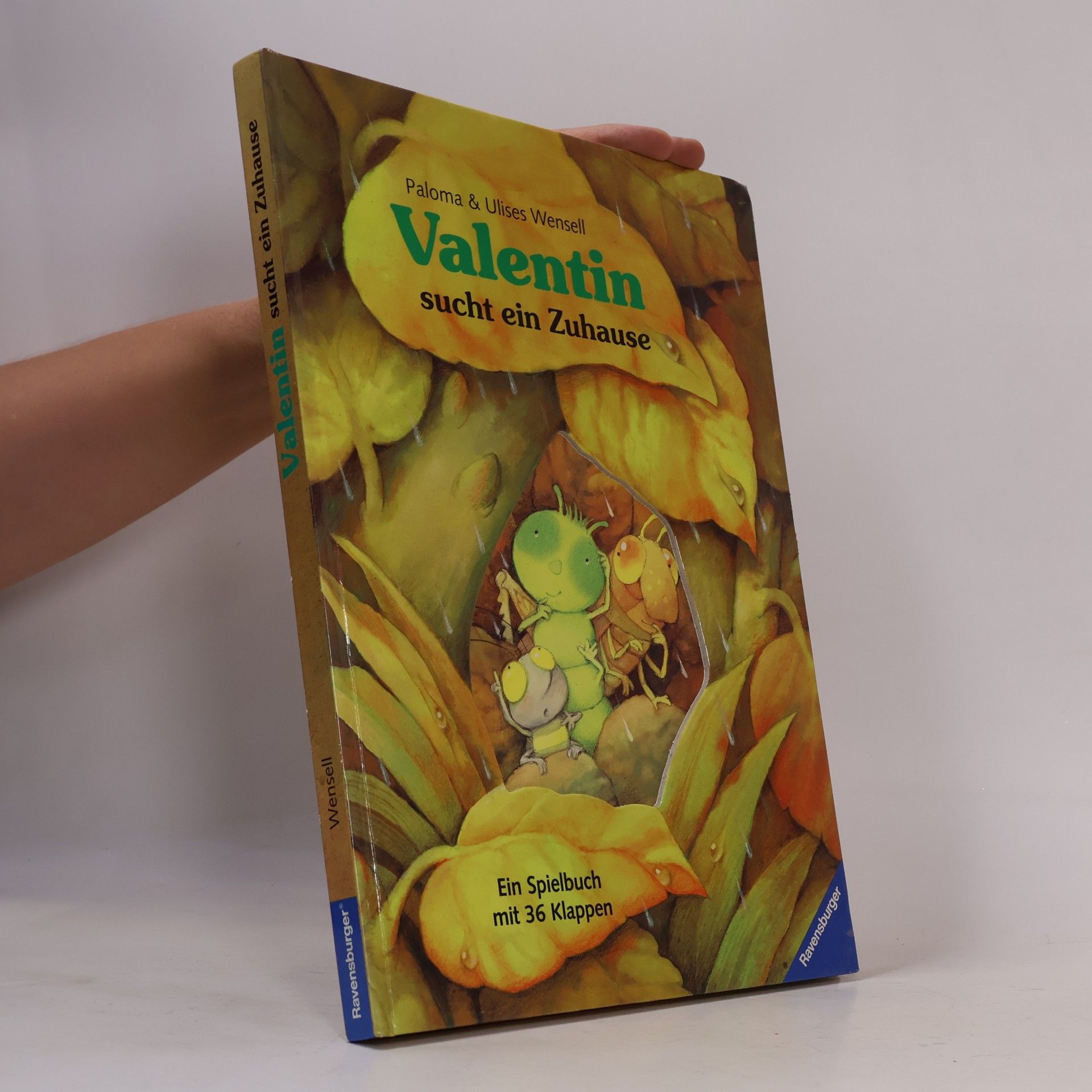 Valentin sucht ein Zuhause. Ein Spielbuch mit 36 Klappen