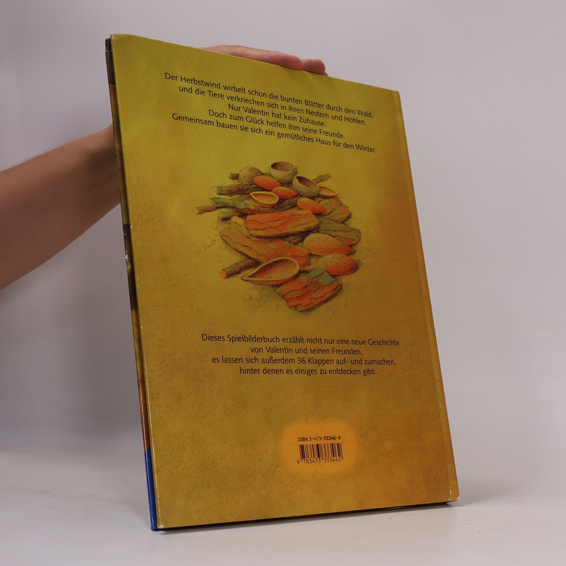 Paloma Wensell Valentin sucht ein Zuhause. Ein Spielbuch mit 36 Klappen
