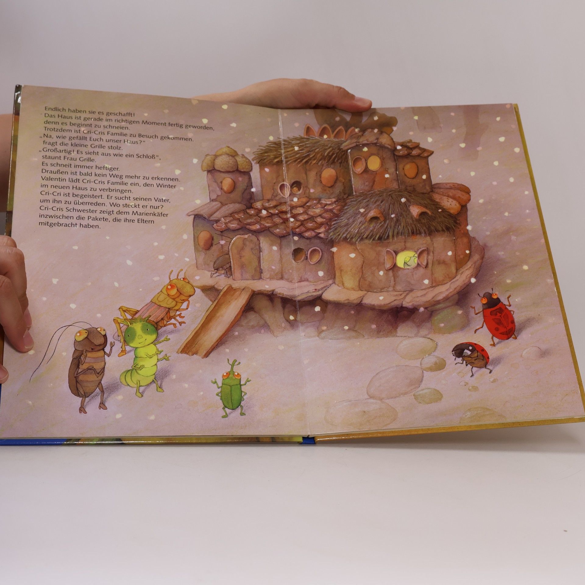 Paloma Wensell Valentin sucht ein Zuhause. Ein Spielbuch mit 36 Klappen