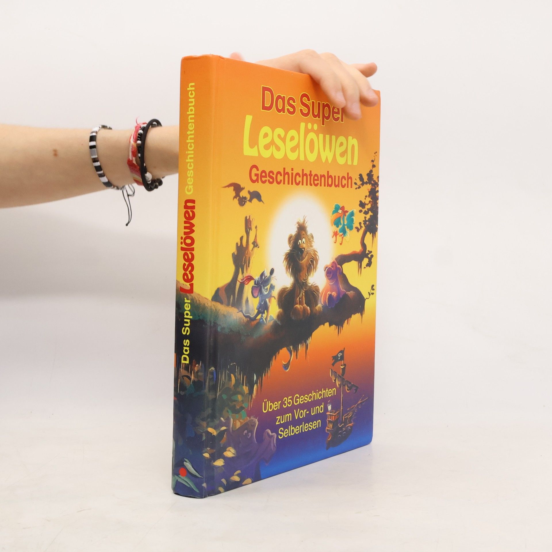 Kolektiv autorů Das Super Leselöwen Geschichtenbuch