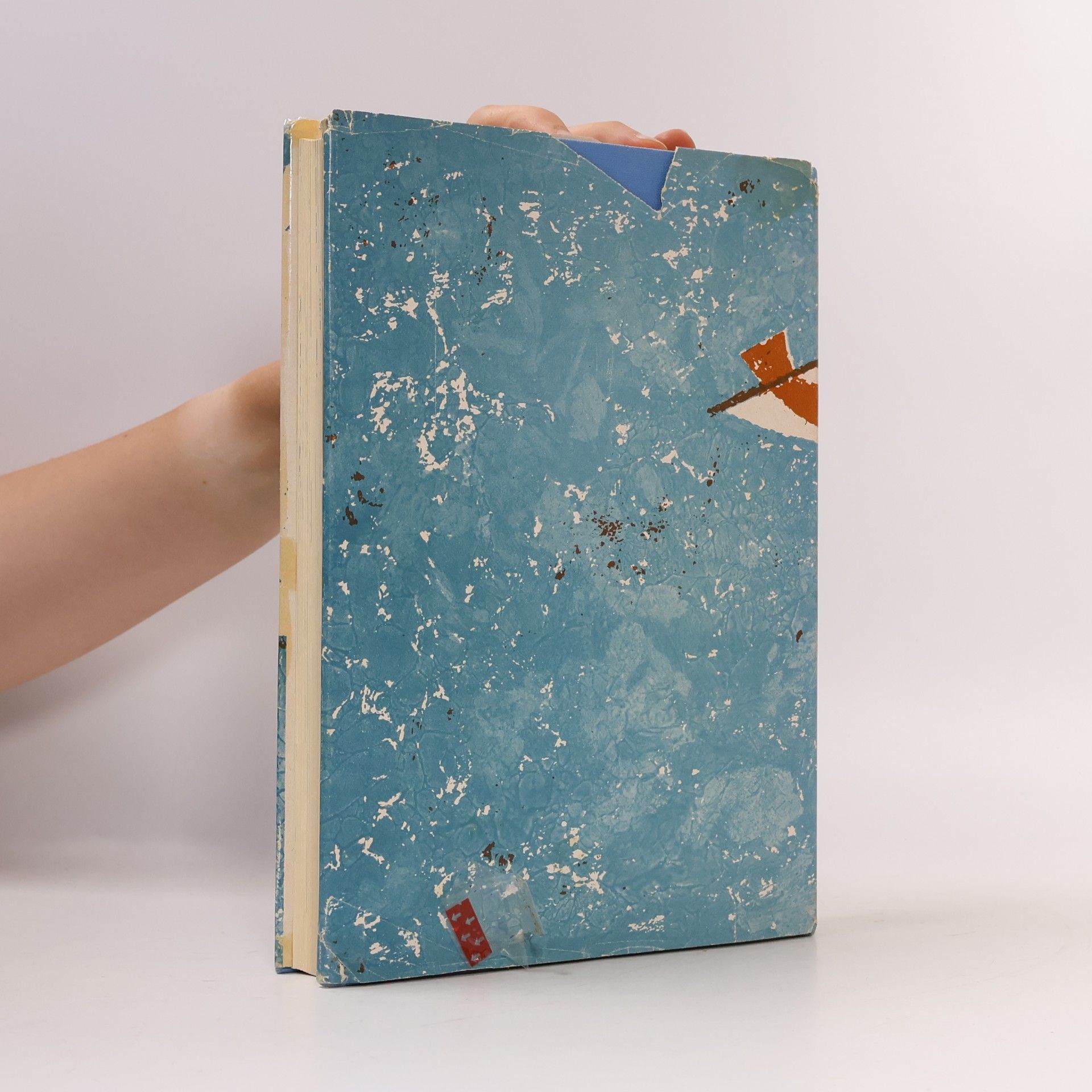 Autorenkollektiv Grosses Erzählbuch der biblischen Geschichte, Band 2: Neues Testament