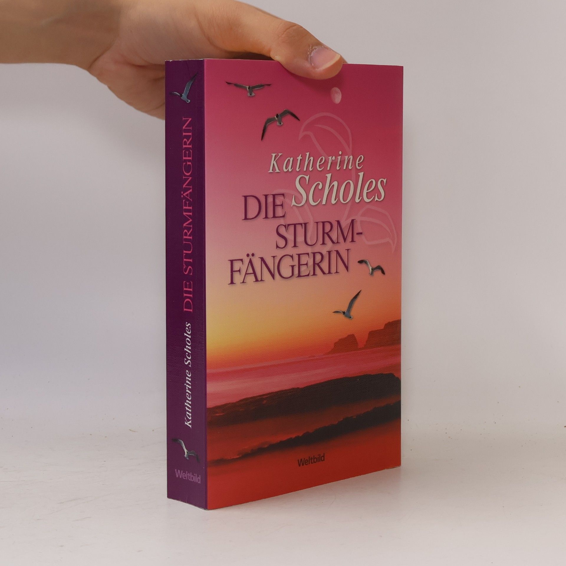 Katherine Scholes Die Sturmfängerin