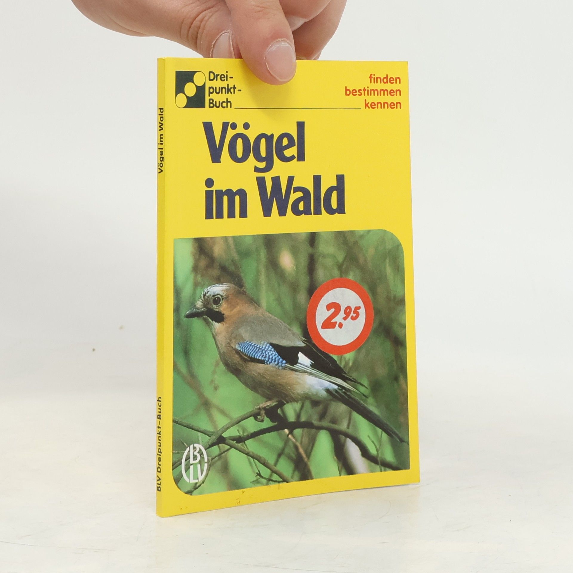 Ute E. Zimmer Vögel im Wald