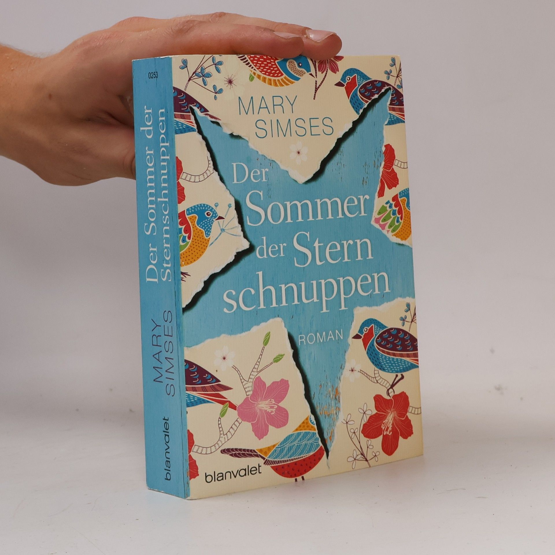 Mary Simses Der Sommer der Sternschnuppen
