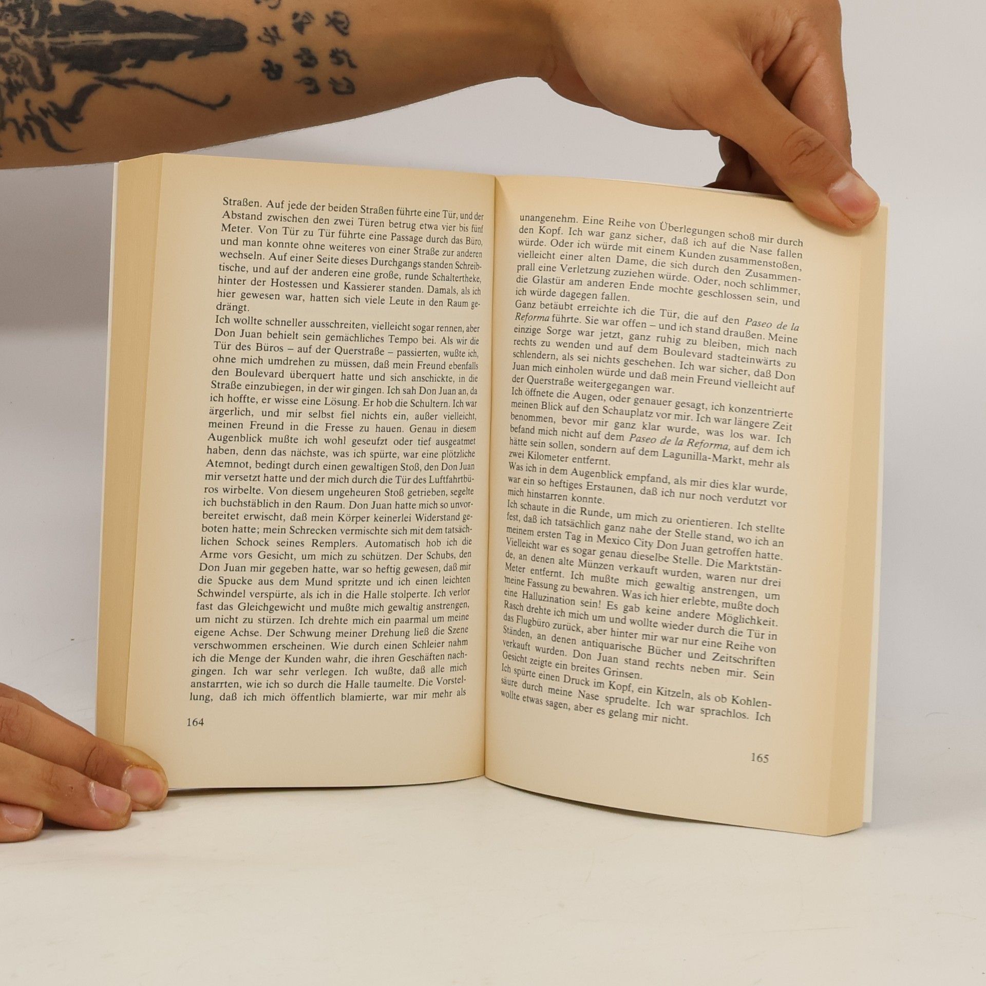 Carlos Castaneda Der Ring der Kraft