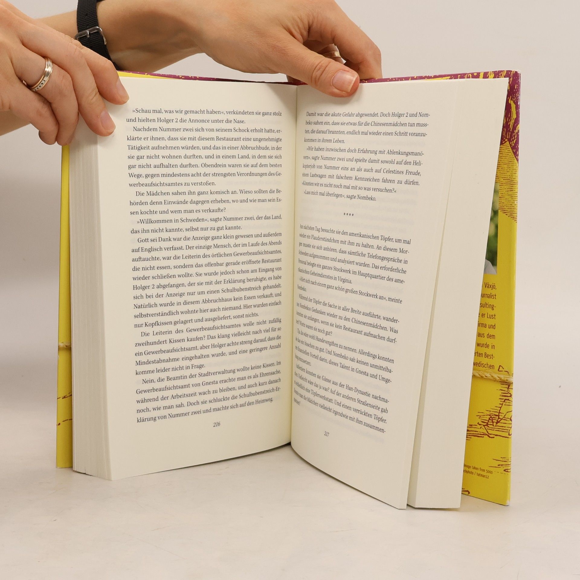 Jonas Jonasson Die Analphabetin, die rechnen konnte