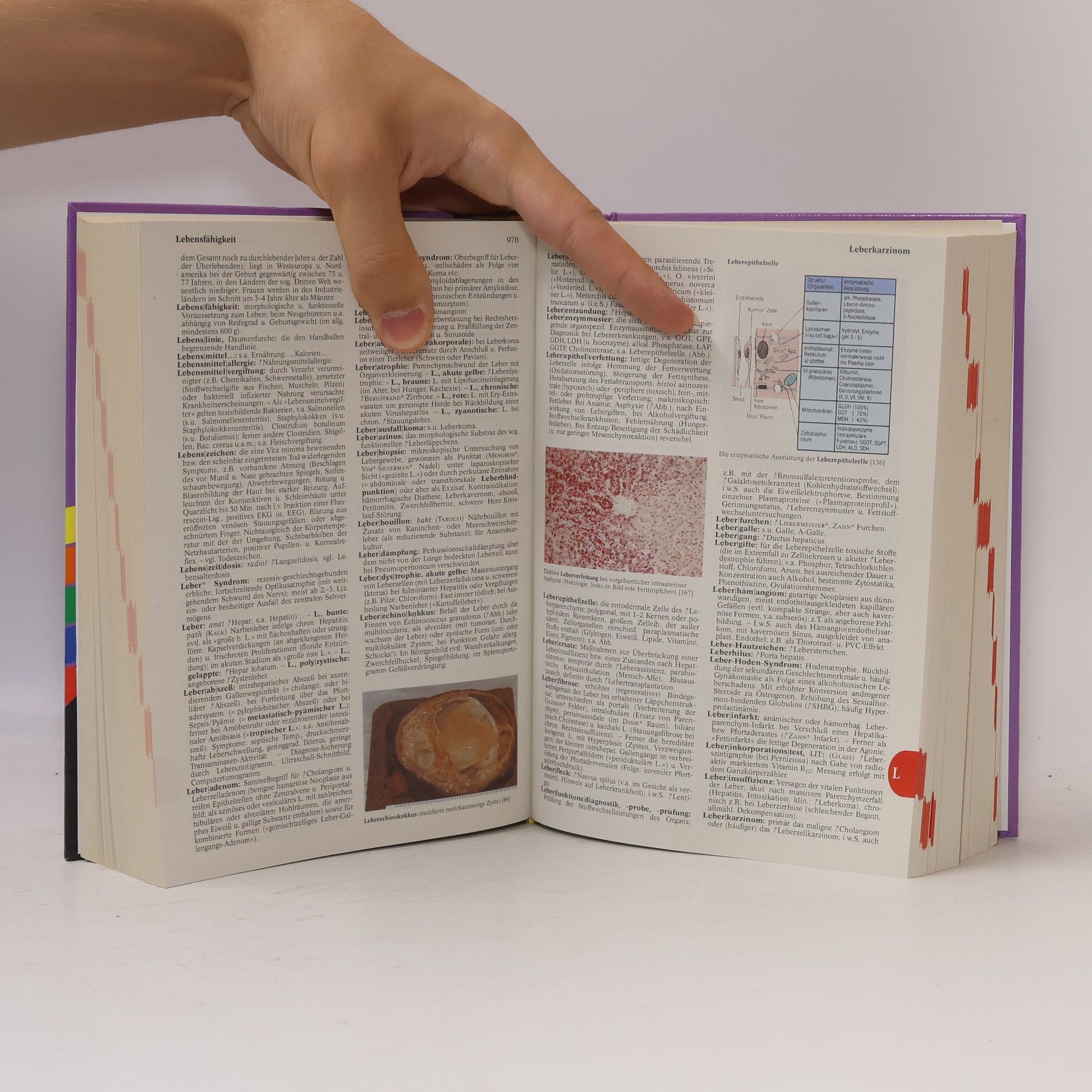 Various authors Lexikon Medizin