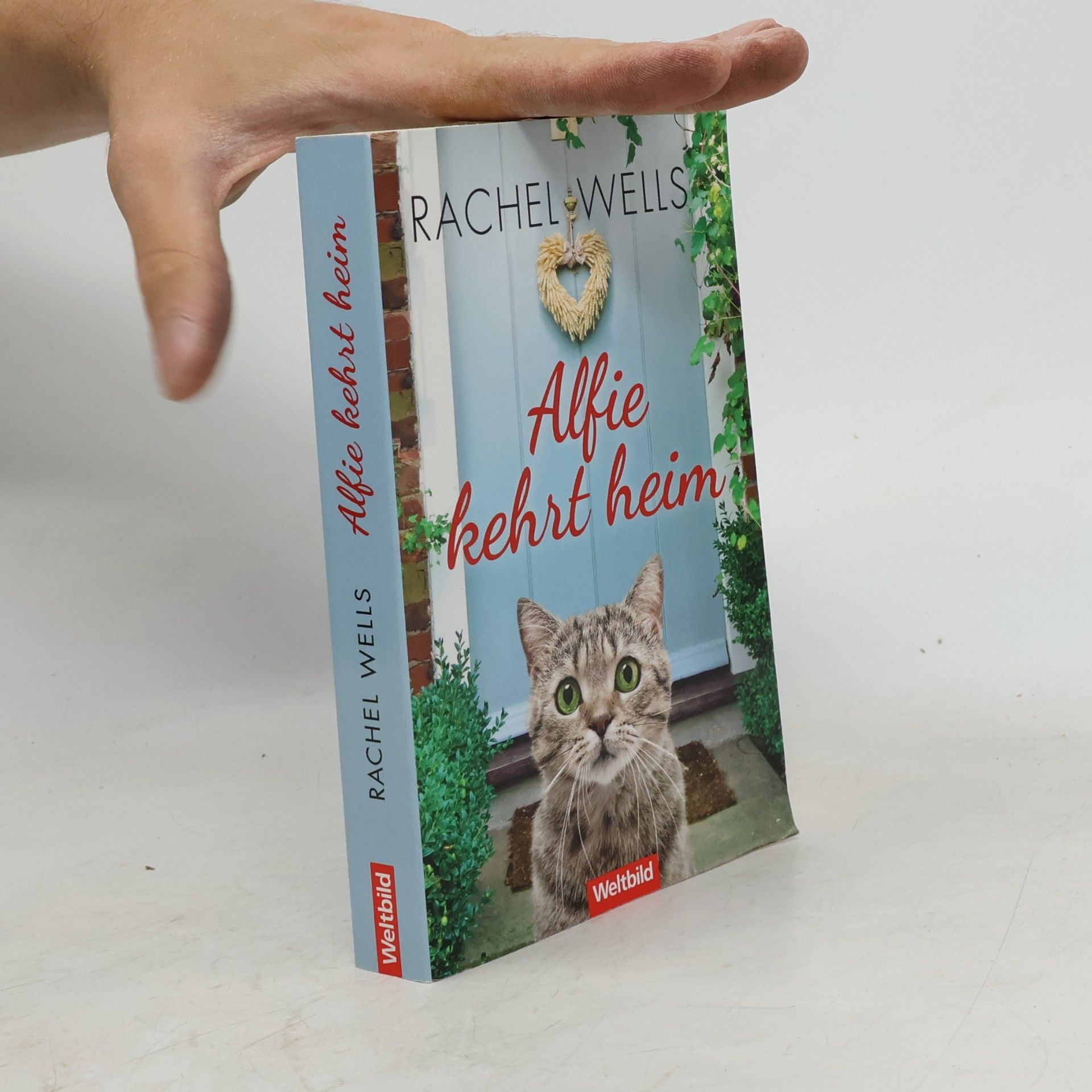 Rachel Wells Alfie kehrt heim