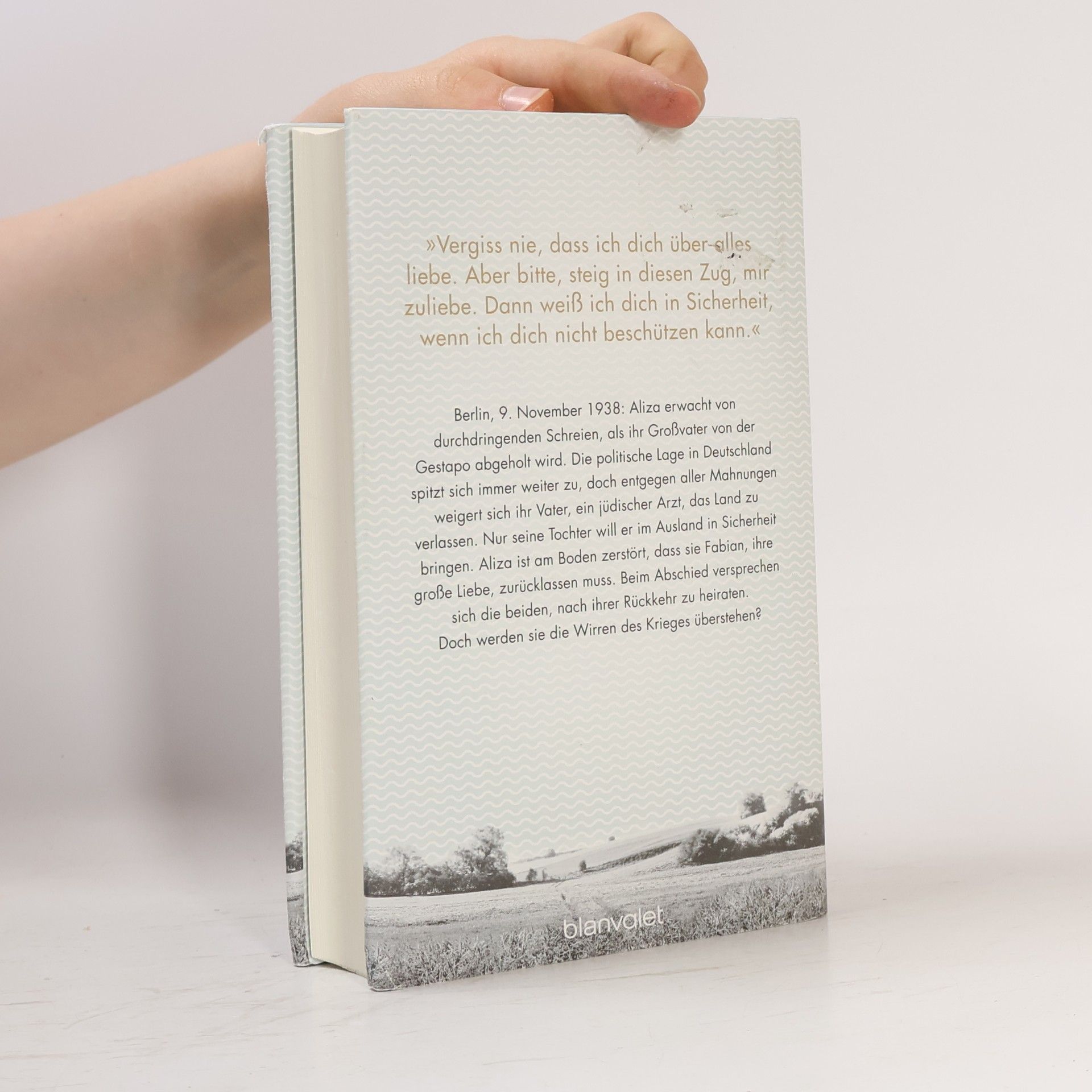 Lilli Beck Mehr als tausend Worte