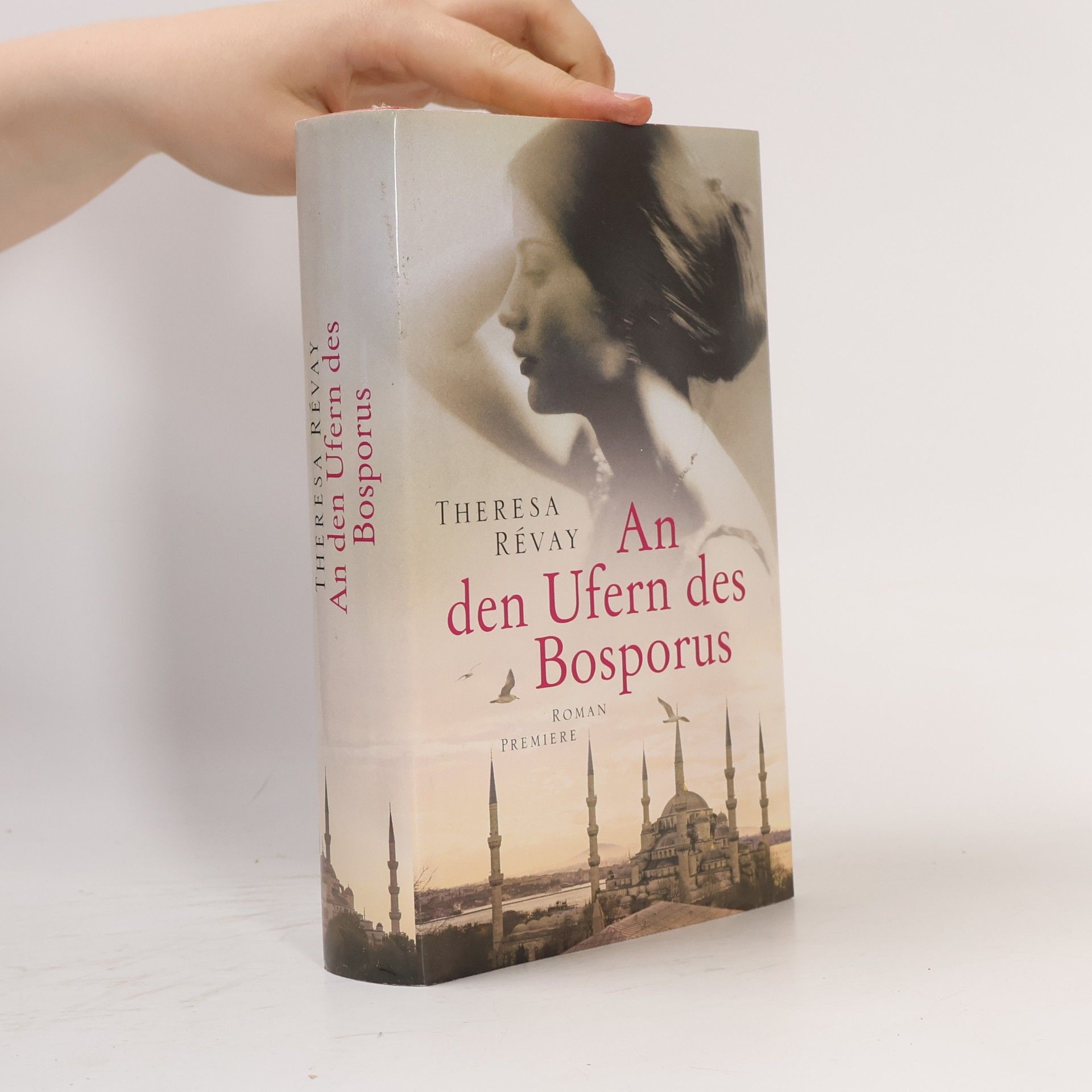 An den Ufern des Bosporus