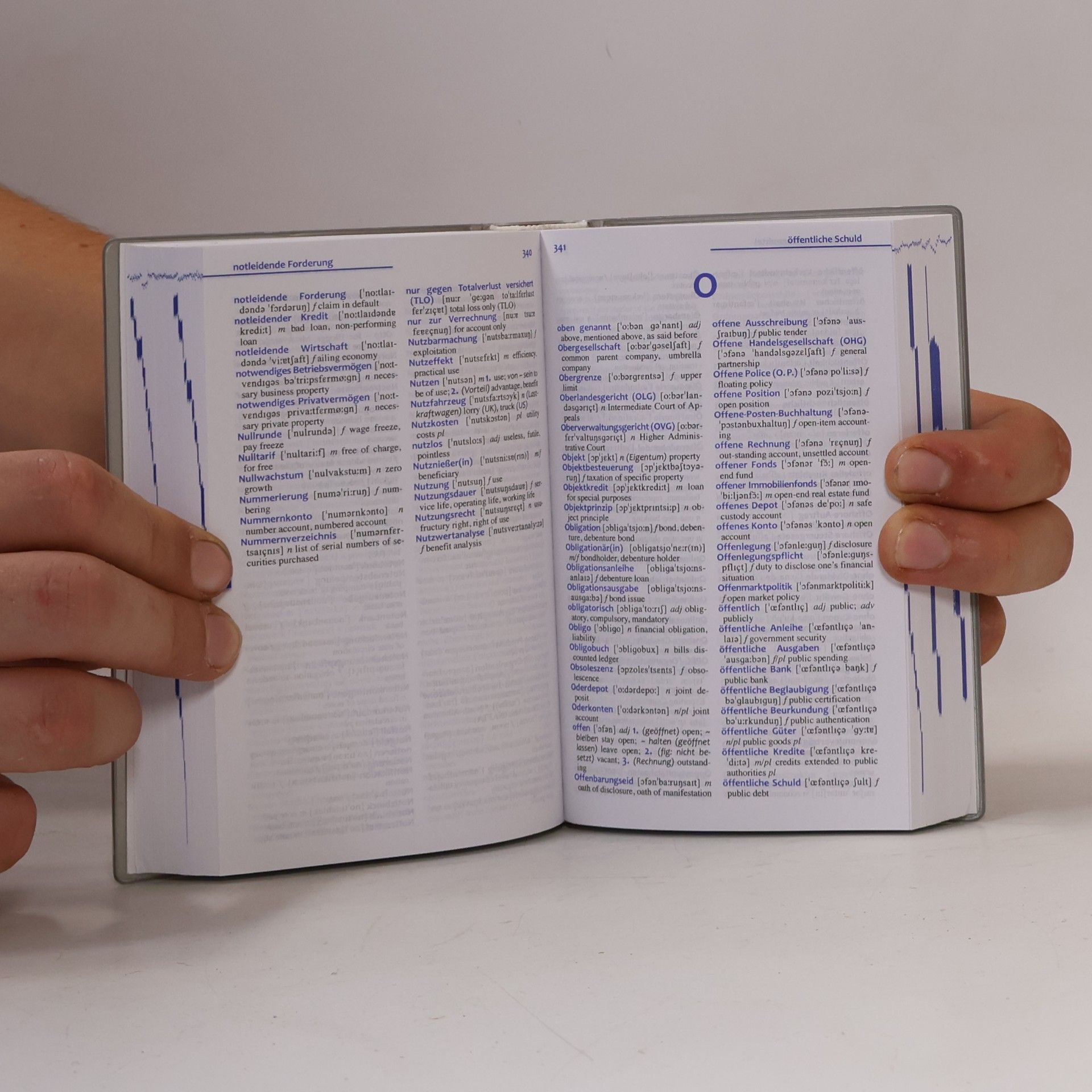 Helga Aichele Standard-Wörterbuch Business English