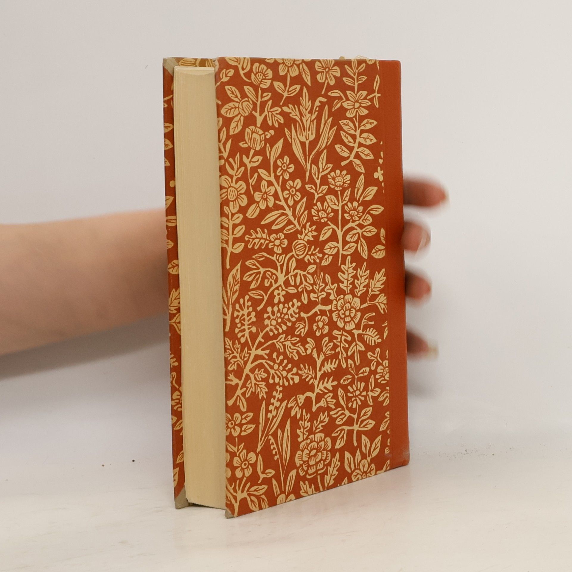 Sigrid Undset Der brennende Busch