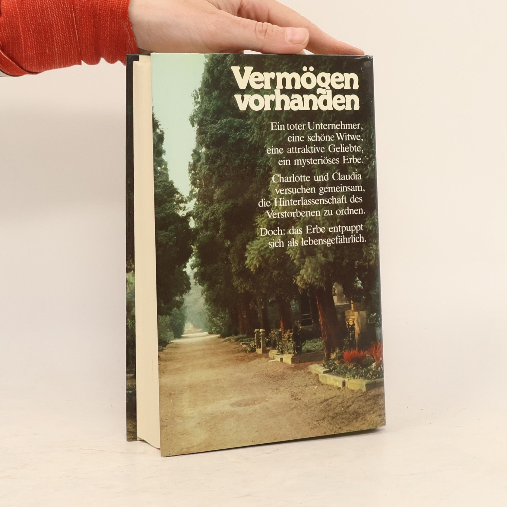 Willi Heinrich Vermögen vorhanden