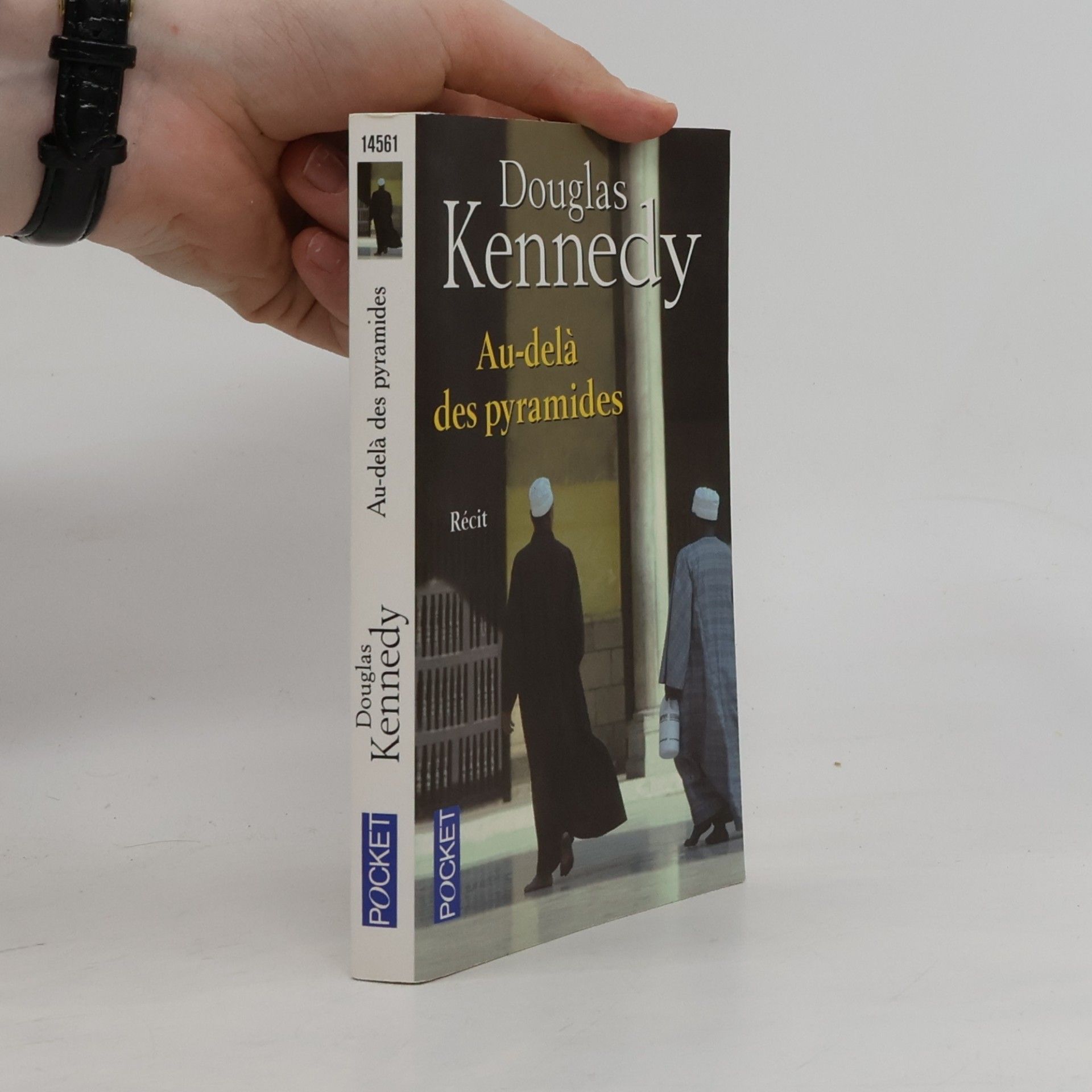 Douglas Kennedy Au-delà des pyramides
