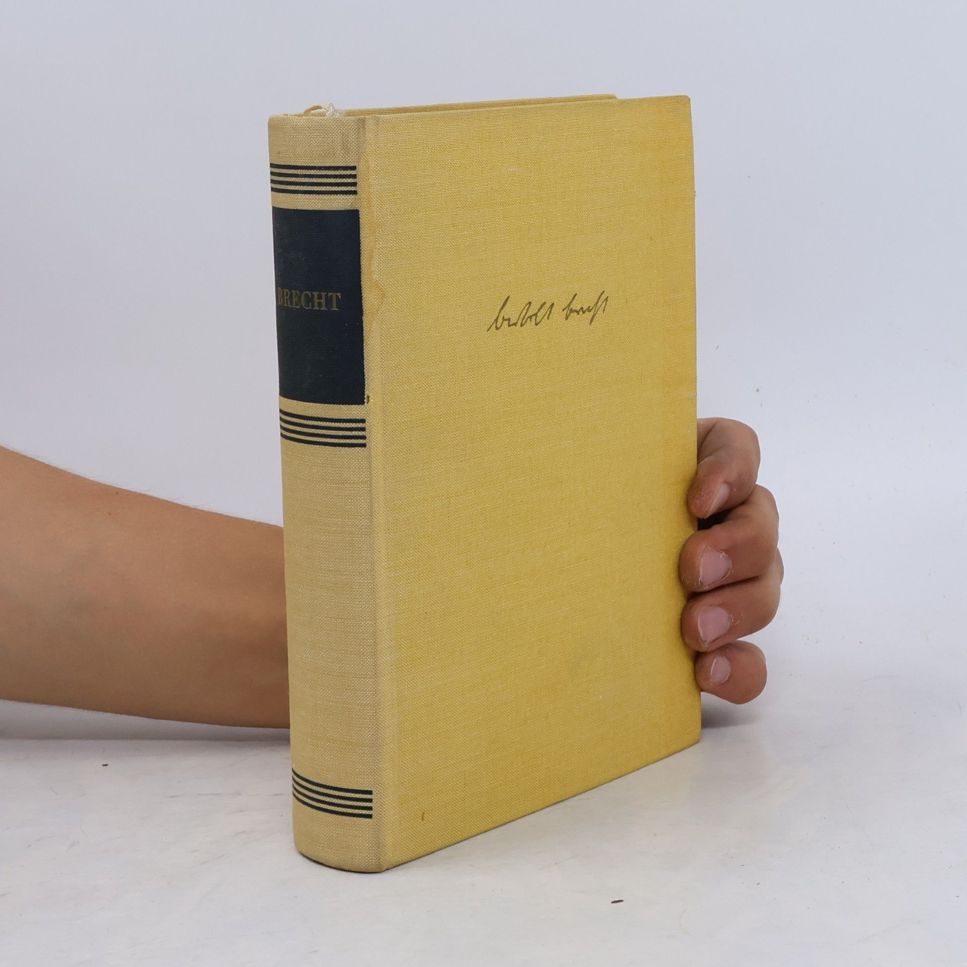 Bertolt Brecht Brech. Ein Lesebuch für unsere Zeit
