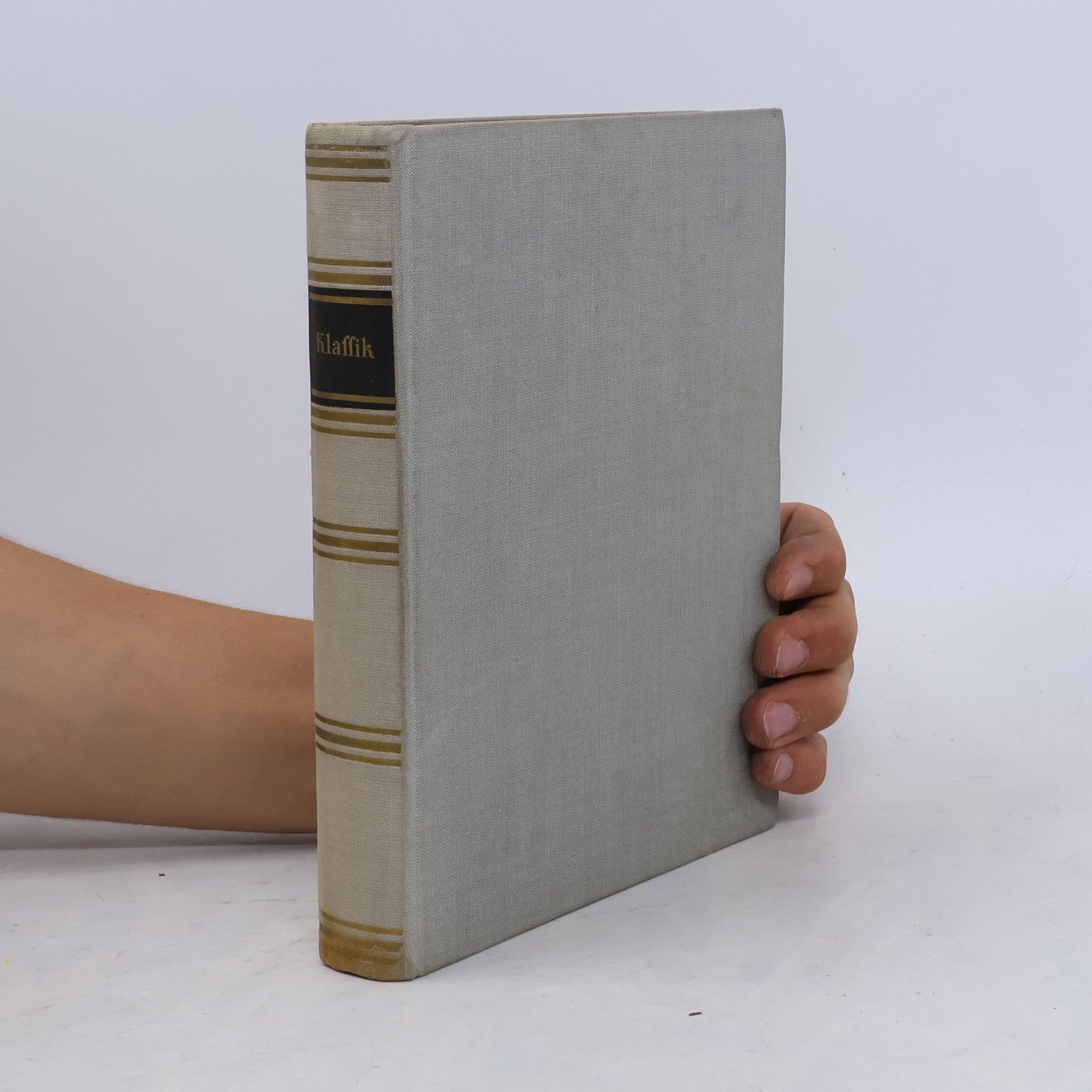 Autorenkollektiv Erläuterungen zur deutschen Literatur