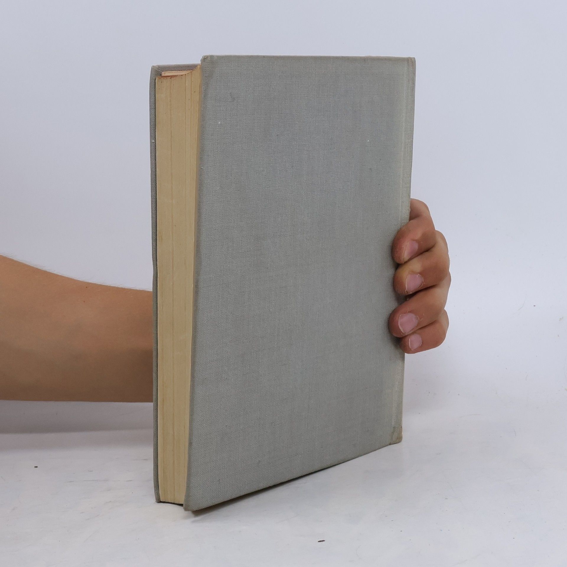 Autorenkollektiv Erläuterungen zur deutschen Literatur