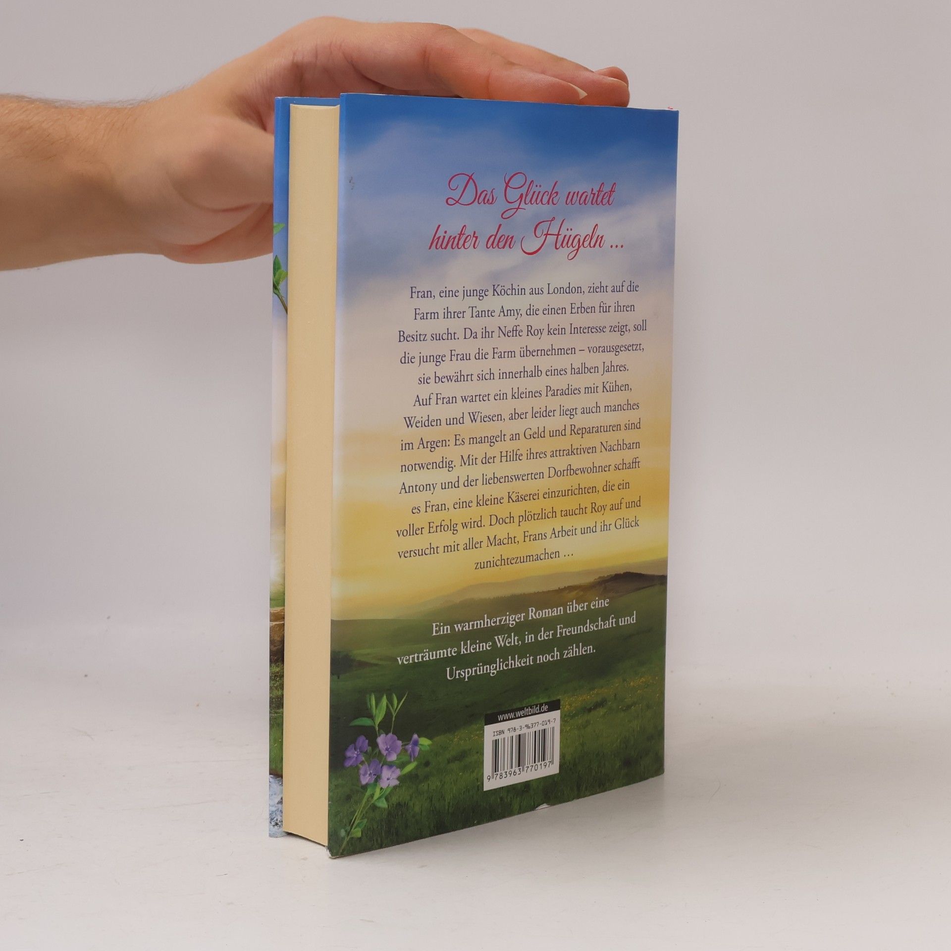 Katie Fforde Das Paradies hinter den Hügeln