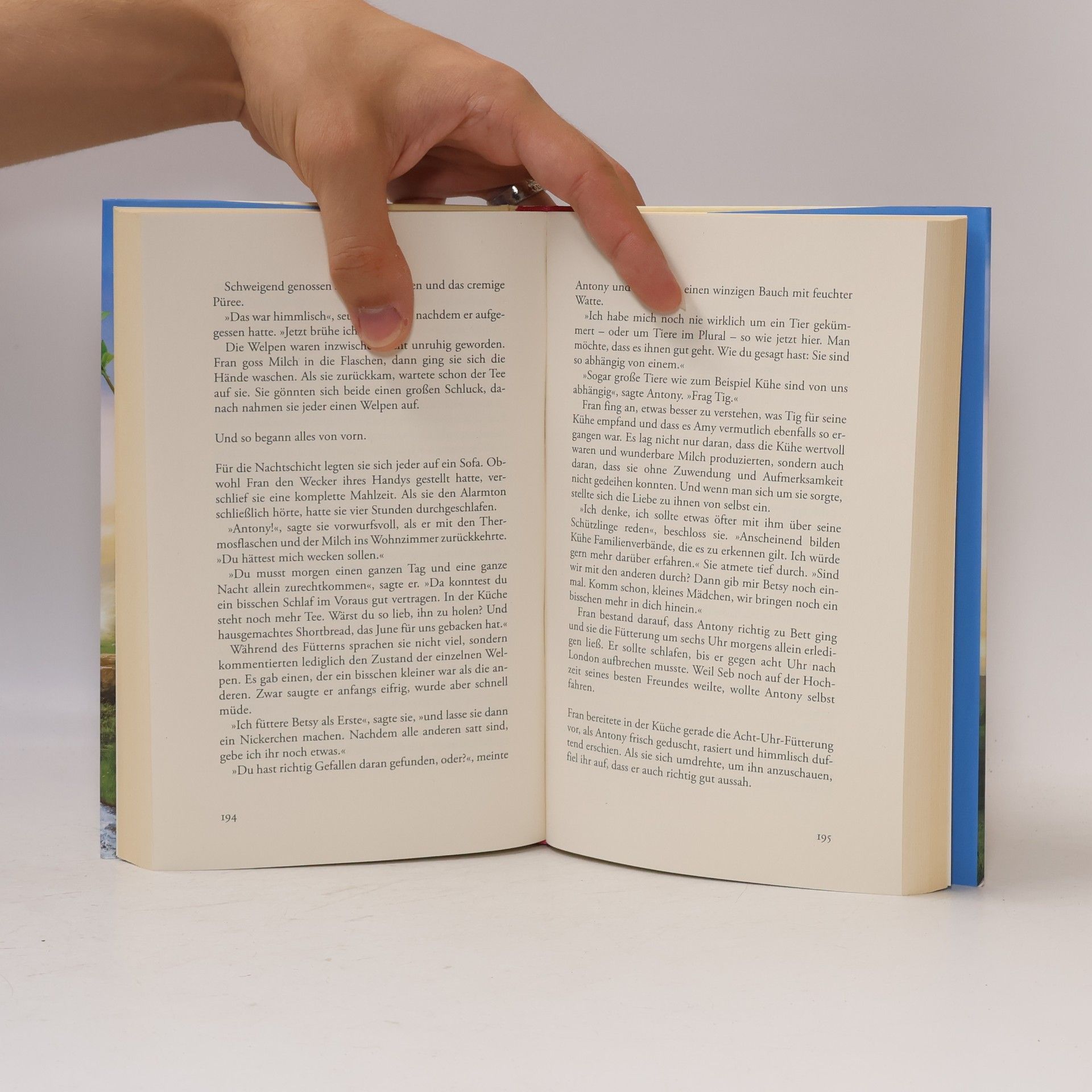 Katie Fforde Das Paradies hinter den Hügeln