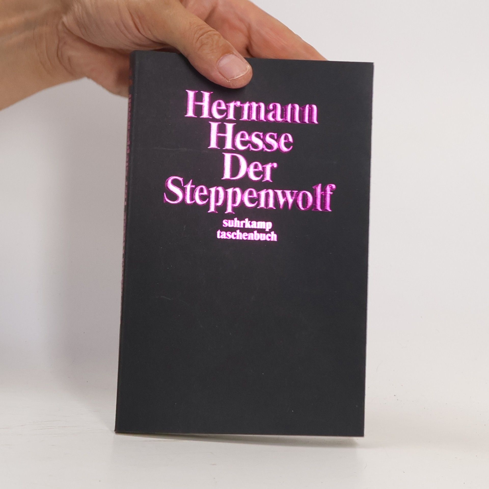 Hermann Hesse Der Steppenwolf