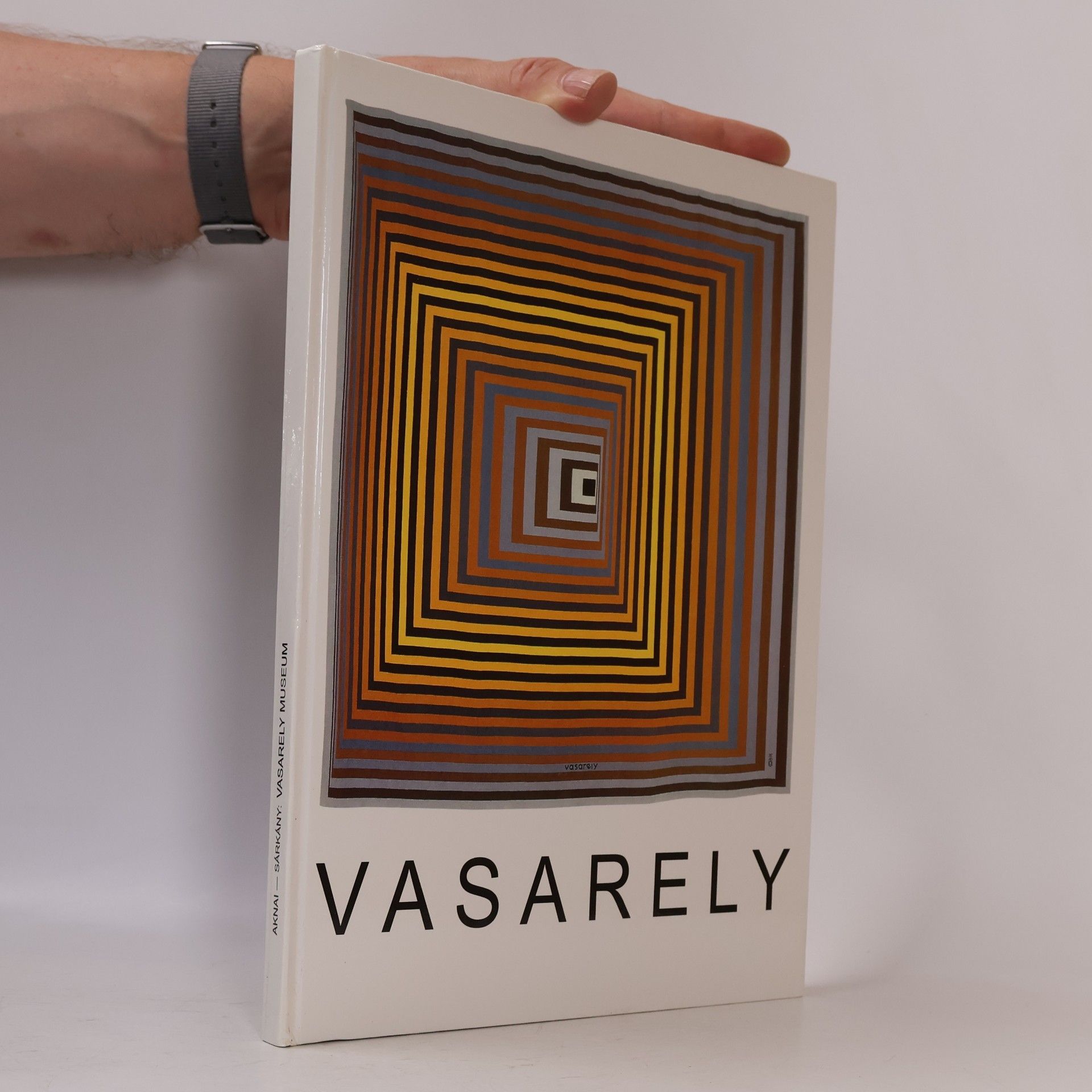 Jozsef Sarkany Vasarely Museum