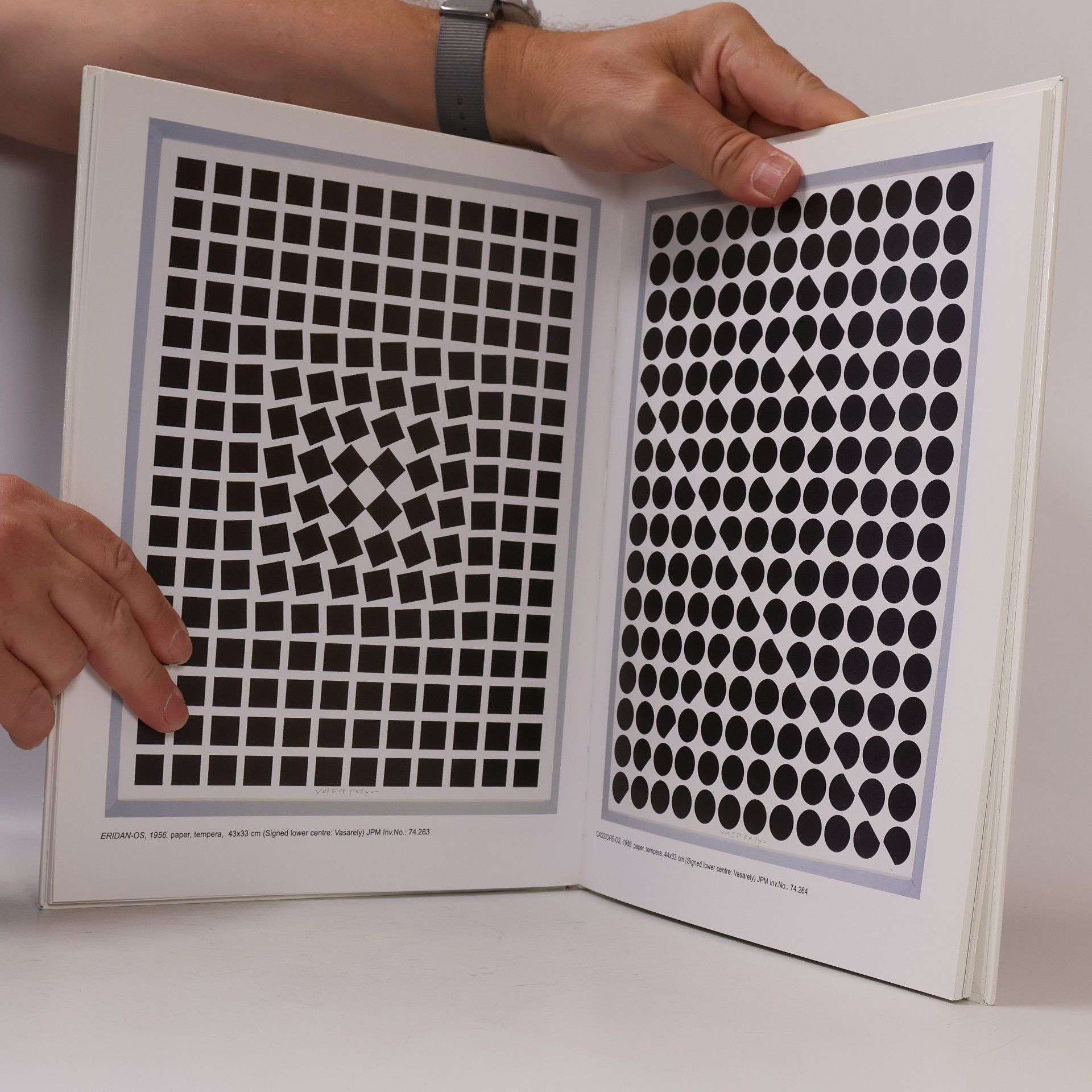 Jozsef Sarkany Vasarely Museum