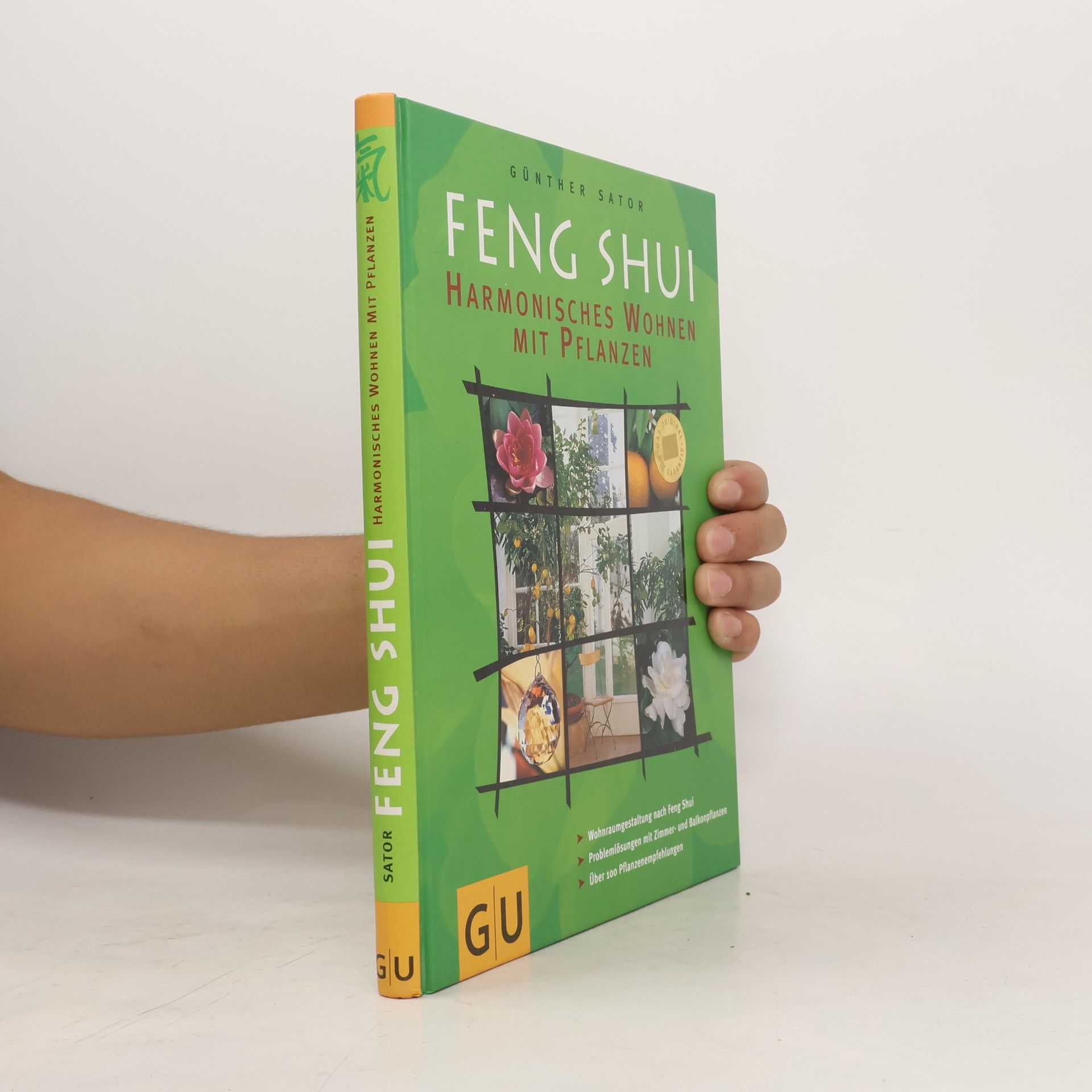 Feng-Shui: Harmonisches Wohnen mit Pflanzen