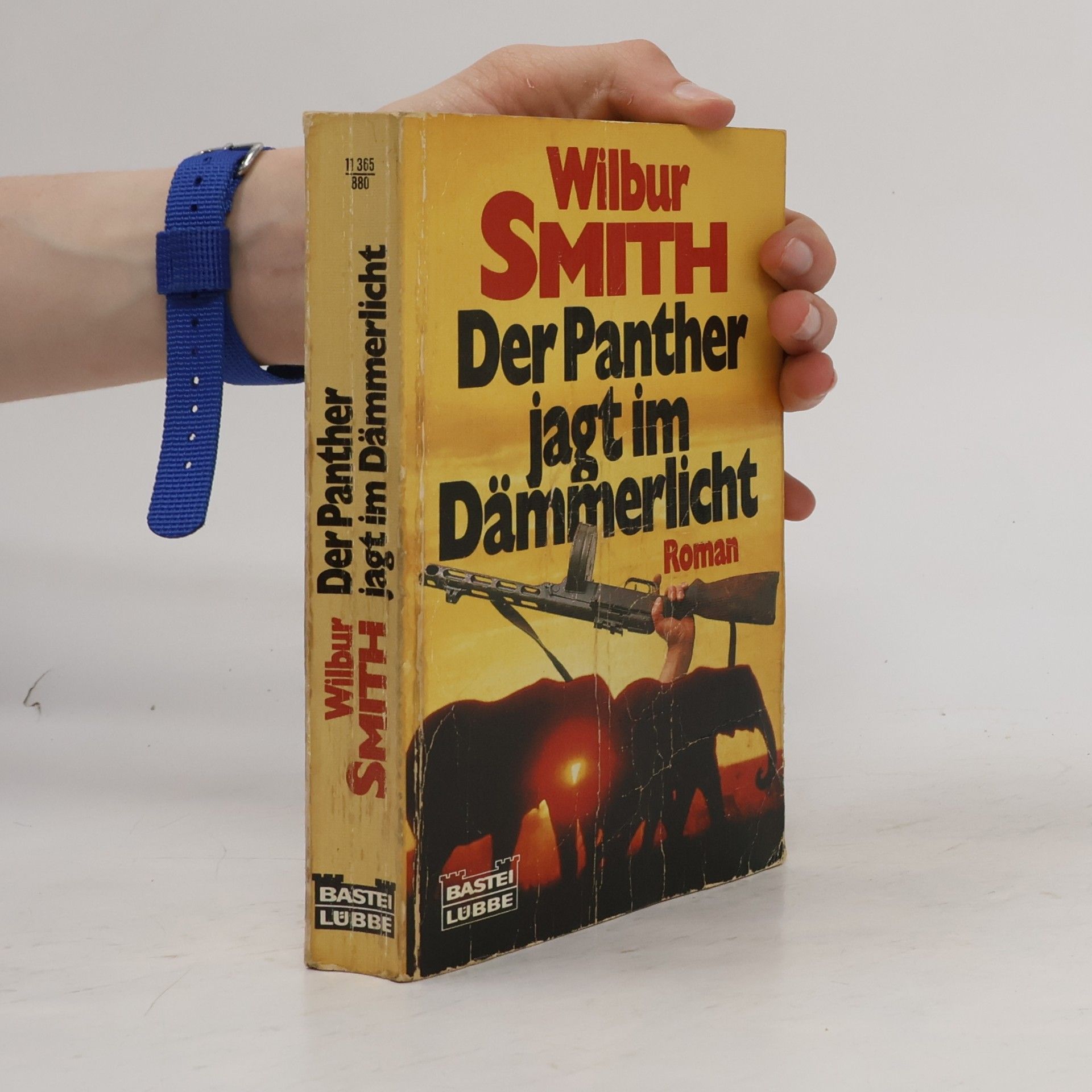 Wilbur Smith Der Panther jagt im Dämmerlicht