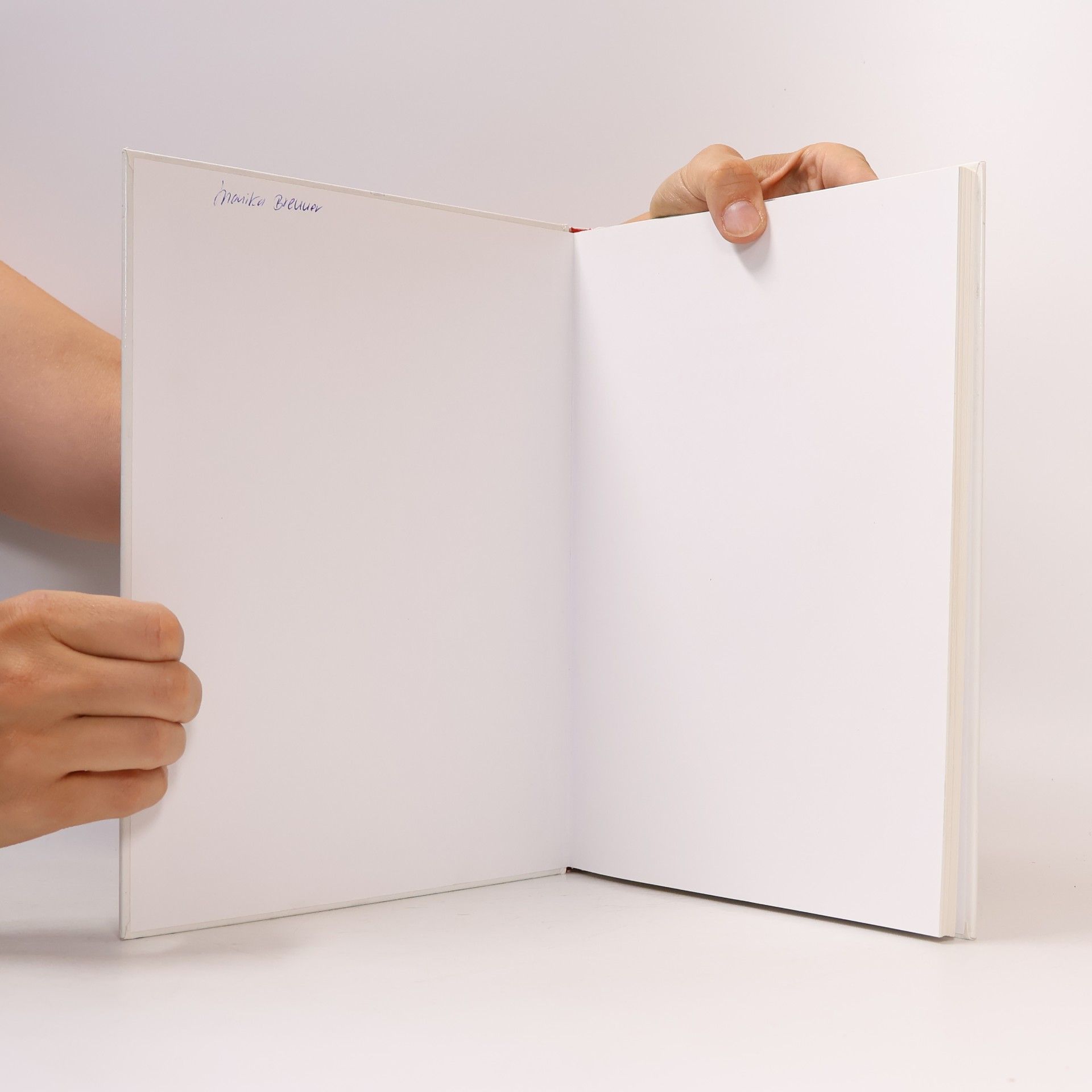 Ursula Summ Das große Buch der Trennkost
