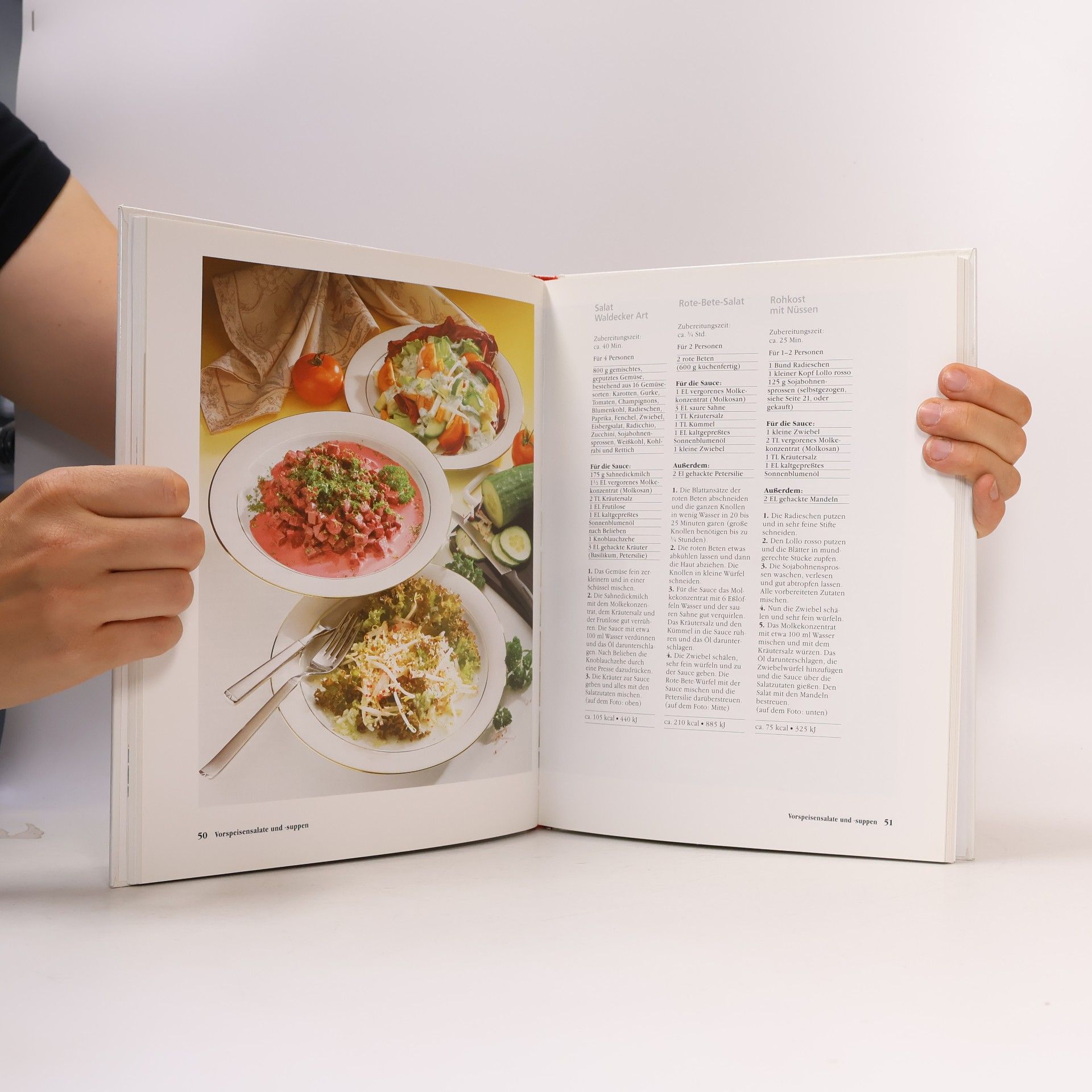 Ursula Summ Das große Buch der Trennkost