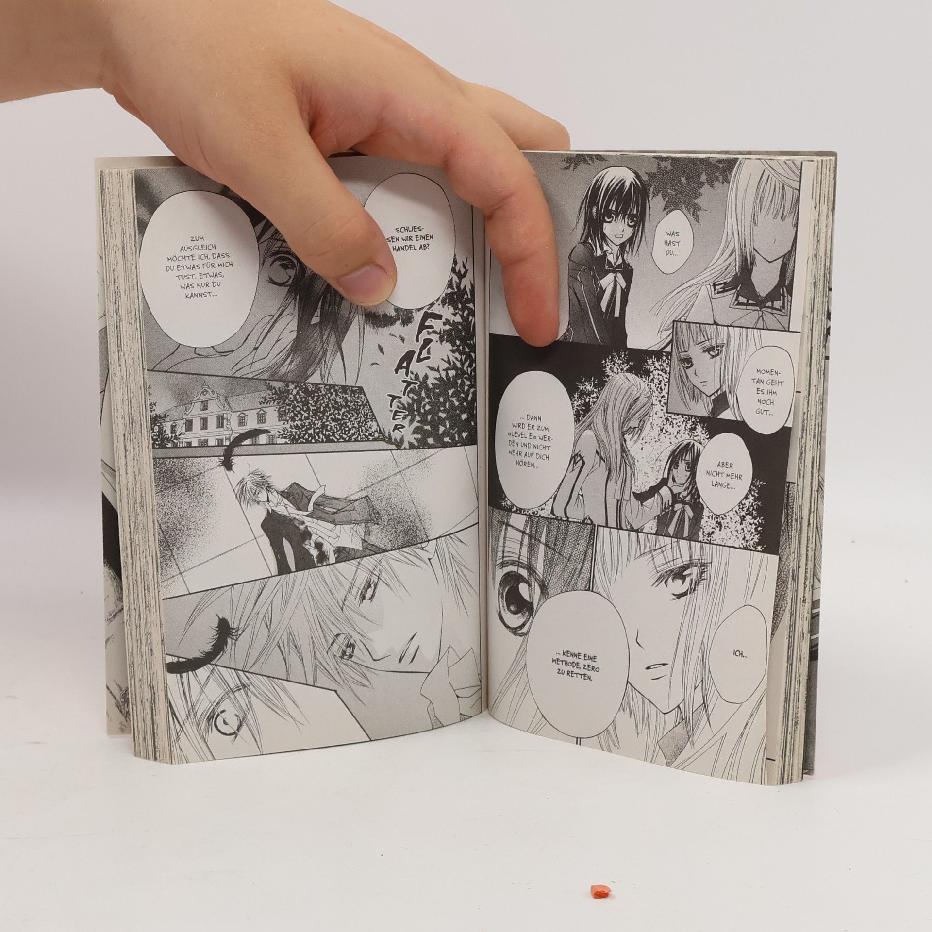 Matsuri Hino Vampire Knight 4