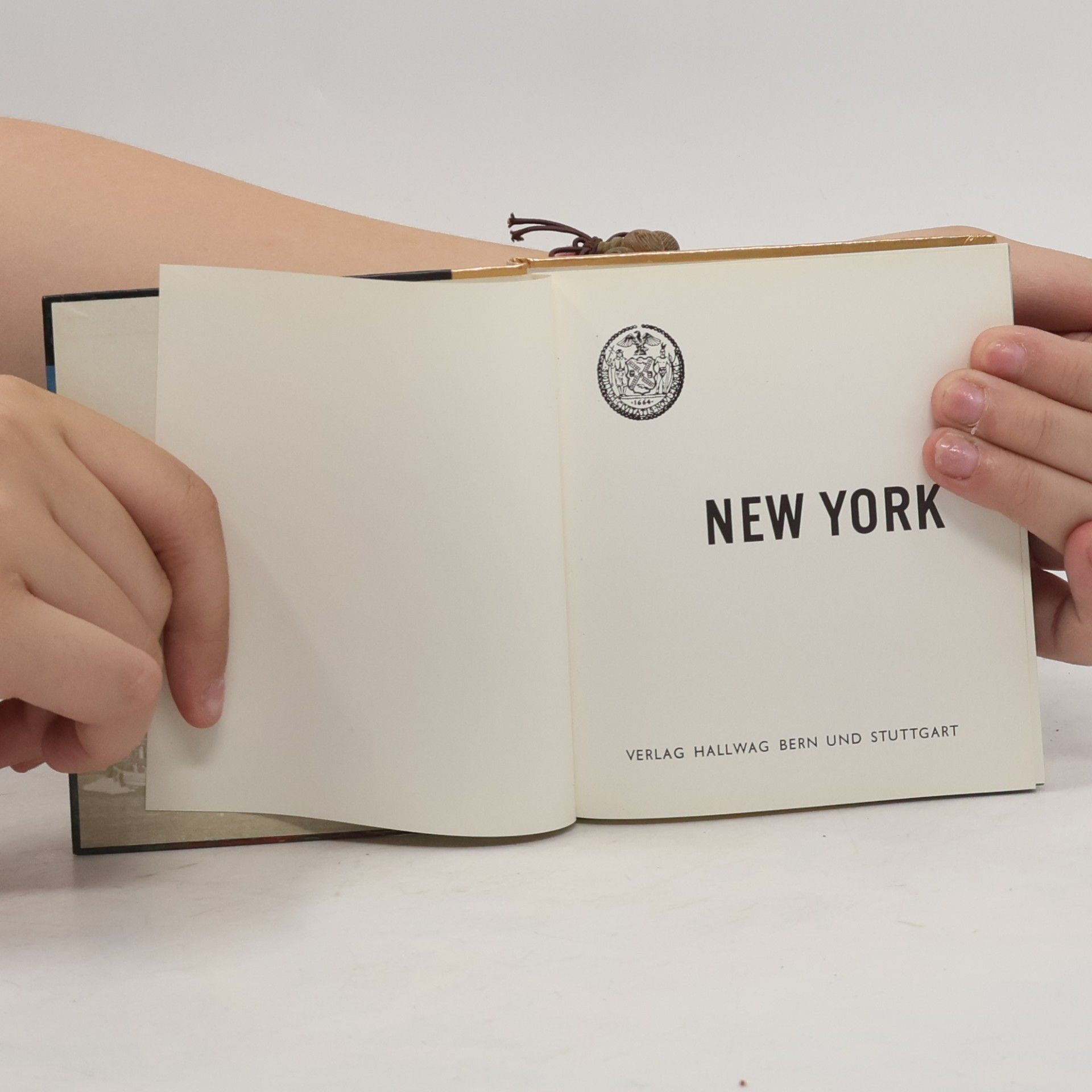 Kolektiv autorů New York